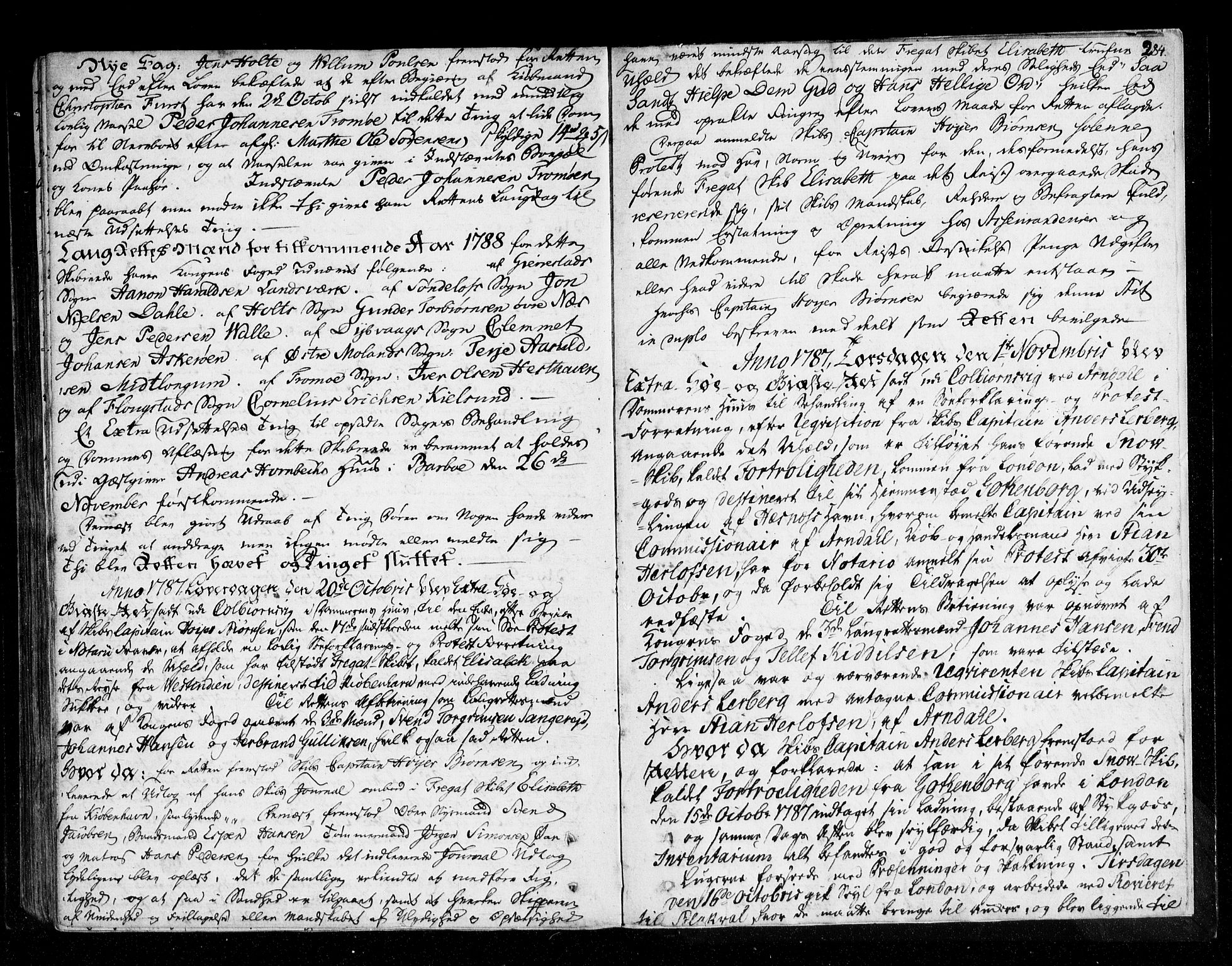 Nedenes sorenskriveri før 1824, SAK/1221-0007/F/Fa/L0037: Tingbok med register nr 32, 1785-1787, p. 283b-284a