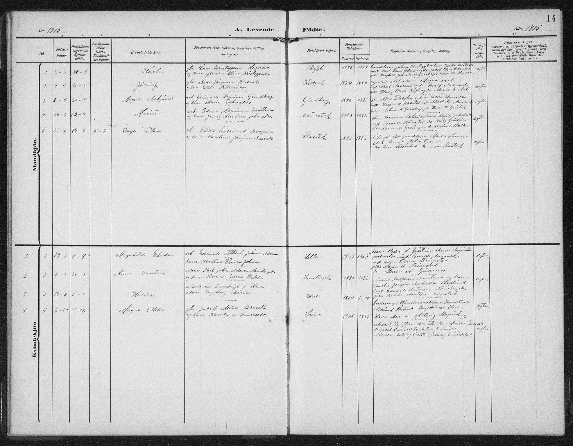 Ministerialprotokoller, klokkerbøker og fødselsregistre - Nord-Trøndelag, SAT/A-1458/747/L0460: Parish register (copy) no. 747C02, 1908-1939, p. 14
