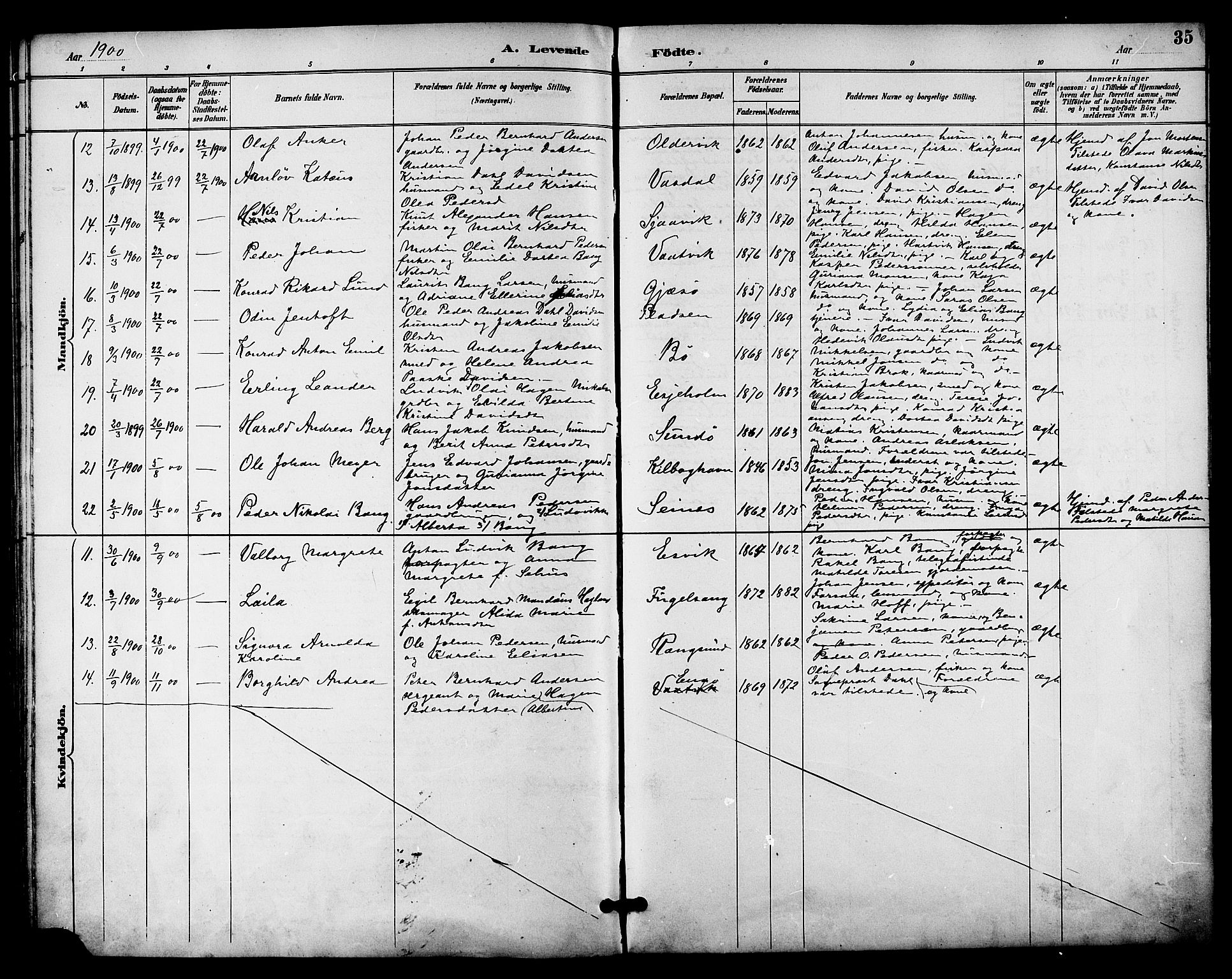 Ministerialprotokoller, klokkerbøker og fødselsregistre - Nordland, SAT/A-1459/841/L0610: Parish register (official) no. 841A14, 1890-1901, p. 35