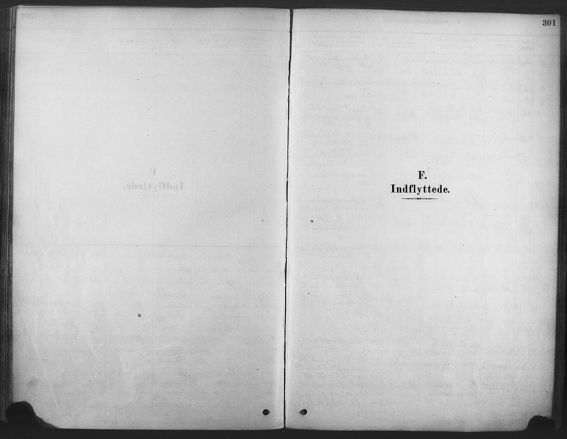Våle kirkebøker, SAKO/A-334/F/Fa/L0011: Parish register (official) no. I 11, 1878-1906, p. 301