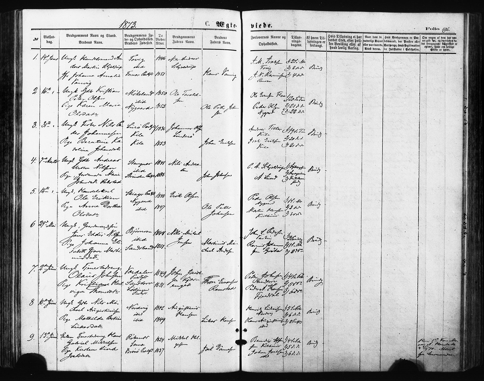 Trondenes sokneprestkontor, SATØ/S-1319/H/Ha/L0013kirke: Parish register (official) no. 13, 1870-1878, p. 196