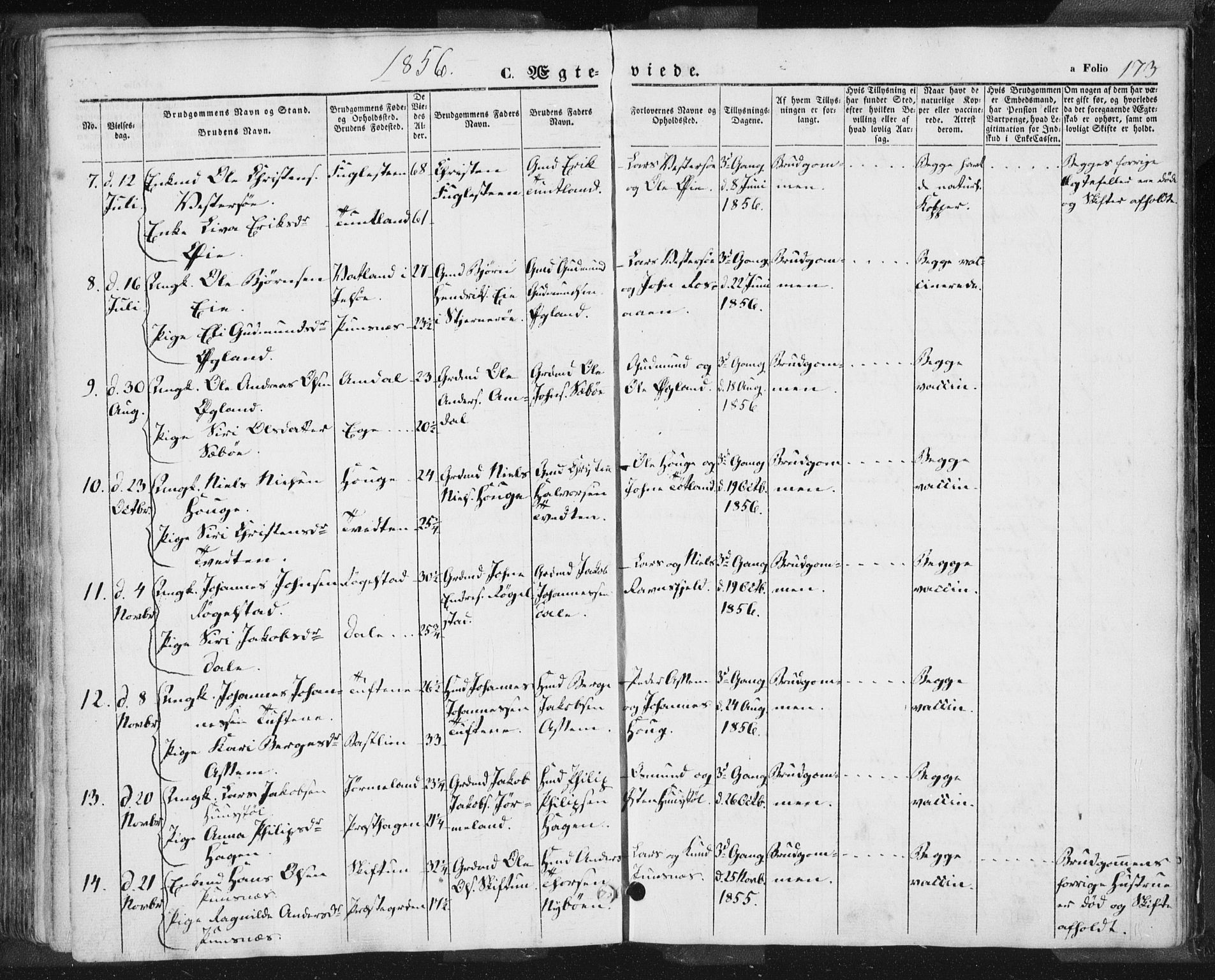 Hjelmeland sokneprestkontor, AV/SAST-A-101843/01/IV/L0009: Parish register (official) no. A 9, 1846-1860, p. 173