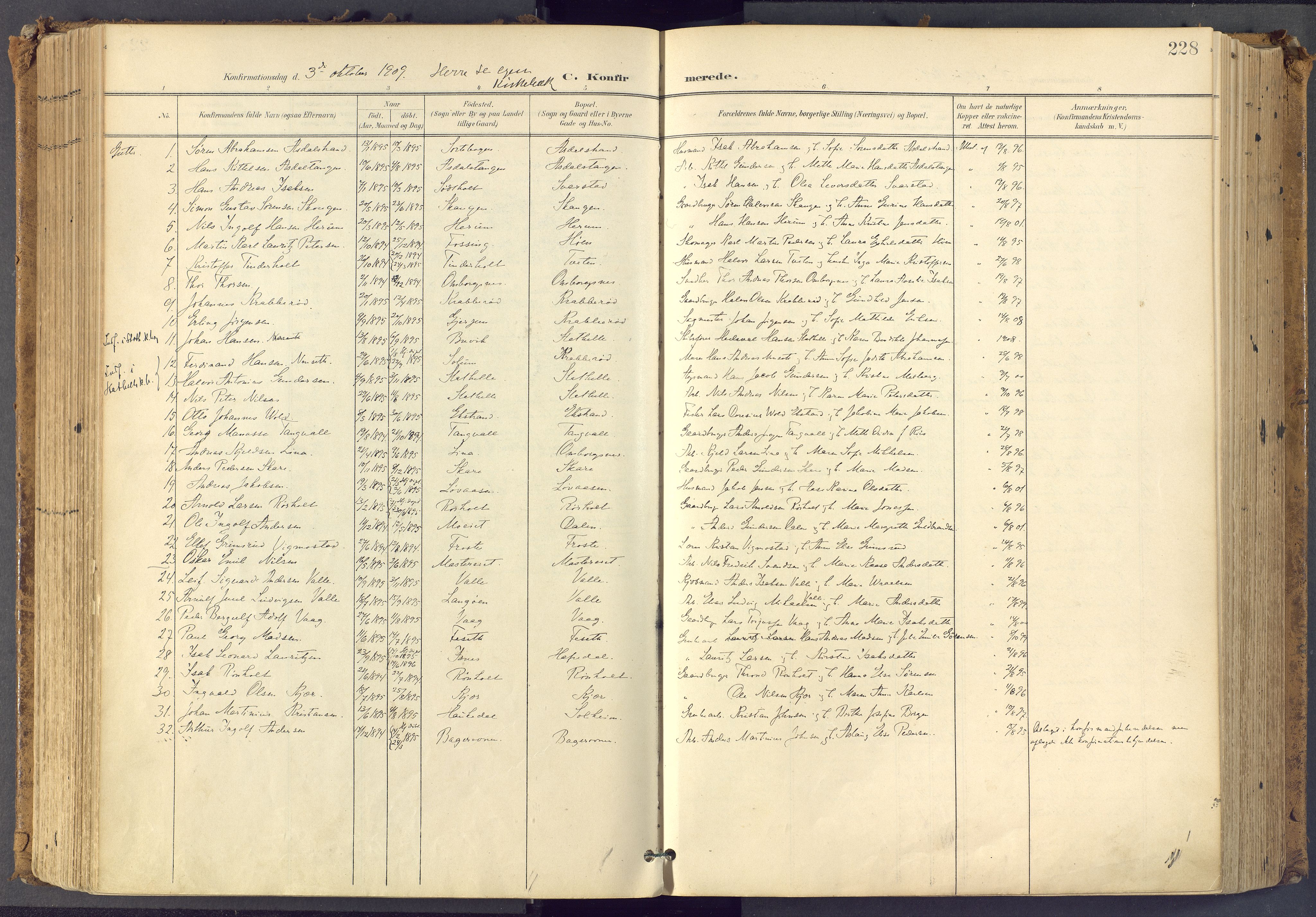 Bamble kirkebøker, SAKO/A-253/F/Fa/L0009: Parish register (official) no. I 9, 1901-1917, p. 228
