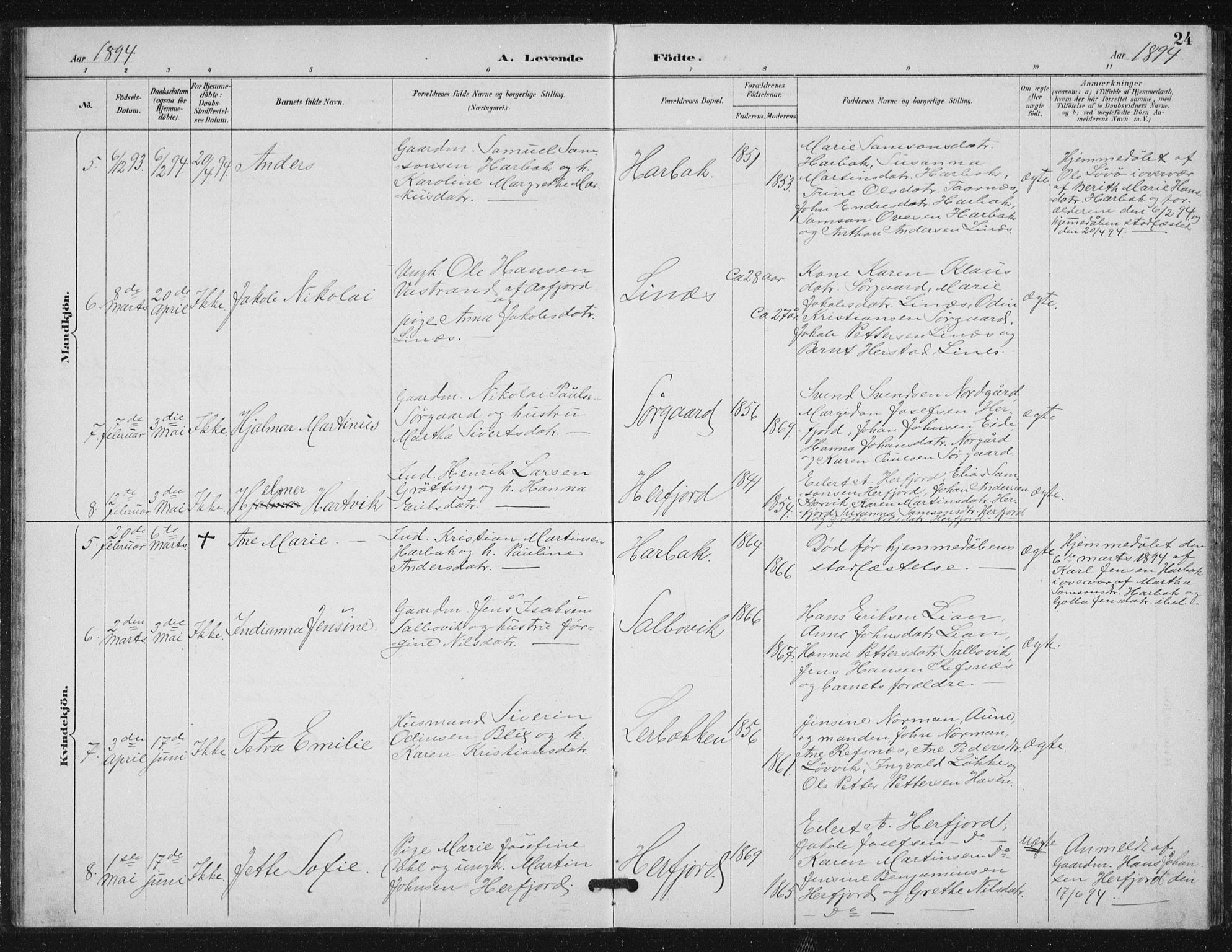Ministerialprotokoller, klokkerbøker og fødselsregistre - Sør-Trøndelag, SAT/A-1456/656/L0698: Parish register (copy) no. 656C04, 1890-1904, p. 24