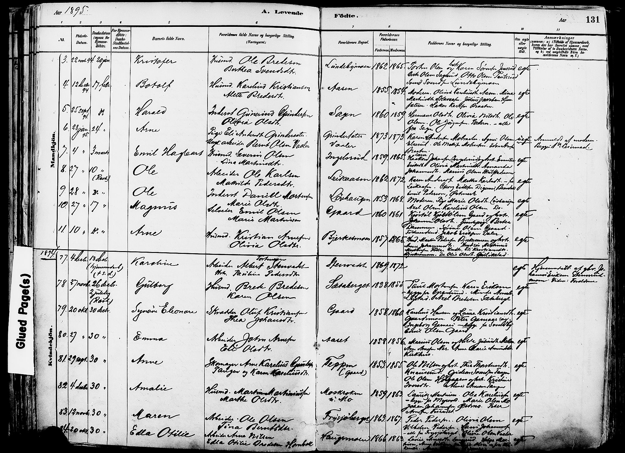 Grue prestekontor, SAH/PREST-036/H/Ha/Haa/L0012: Parish register (official) no. 12, 1881-1897, p. 131