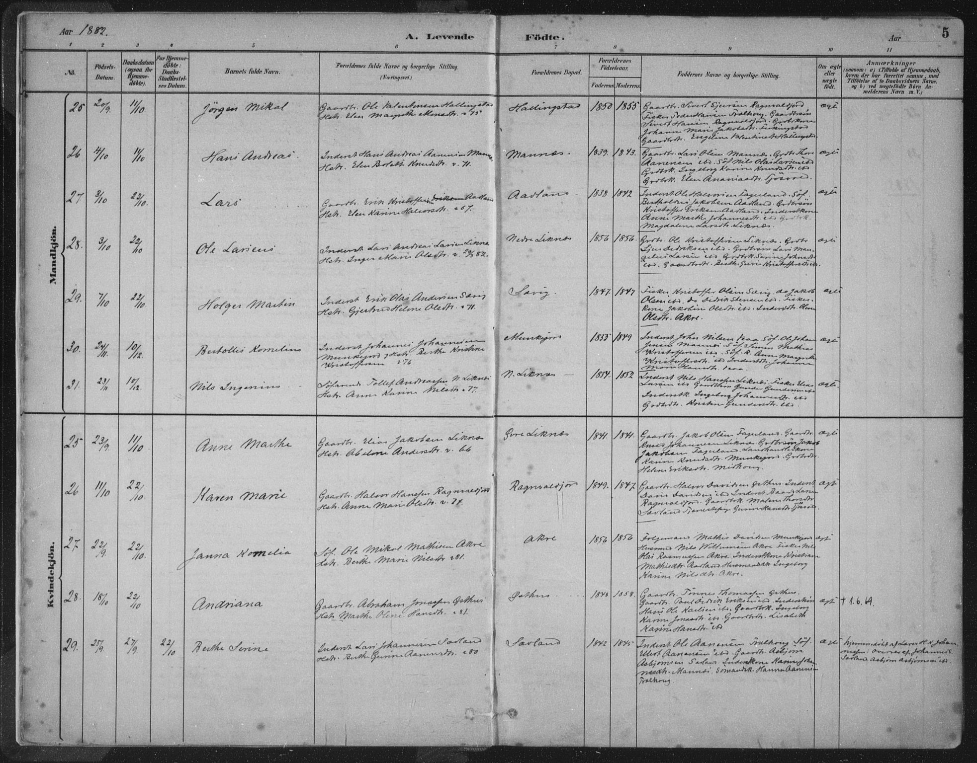 Kopervik sokneprestkontor, AV/SAST-A-101850/H/Ha/Haa/L0004: Parish register (official) no. A 4, 1882-1905, p. 5