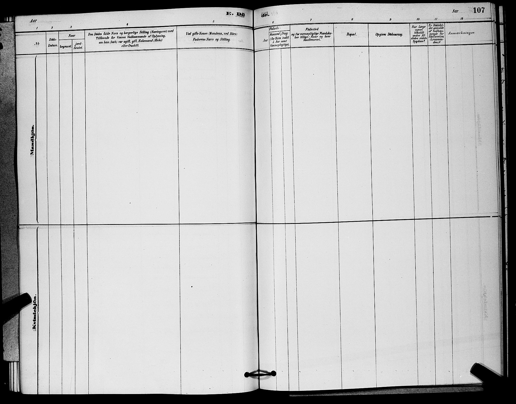 Nore kirkebøker, AV/SAKO-A-238/G/Ga/L0002: Parish register (copy) no. I 2, 1878-1885, p. 107