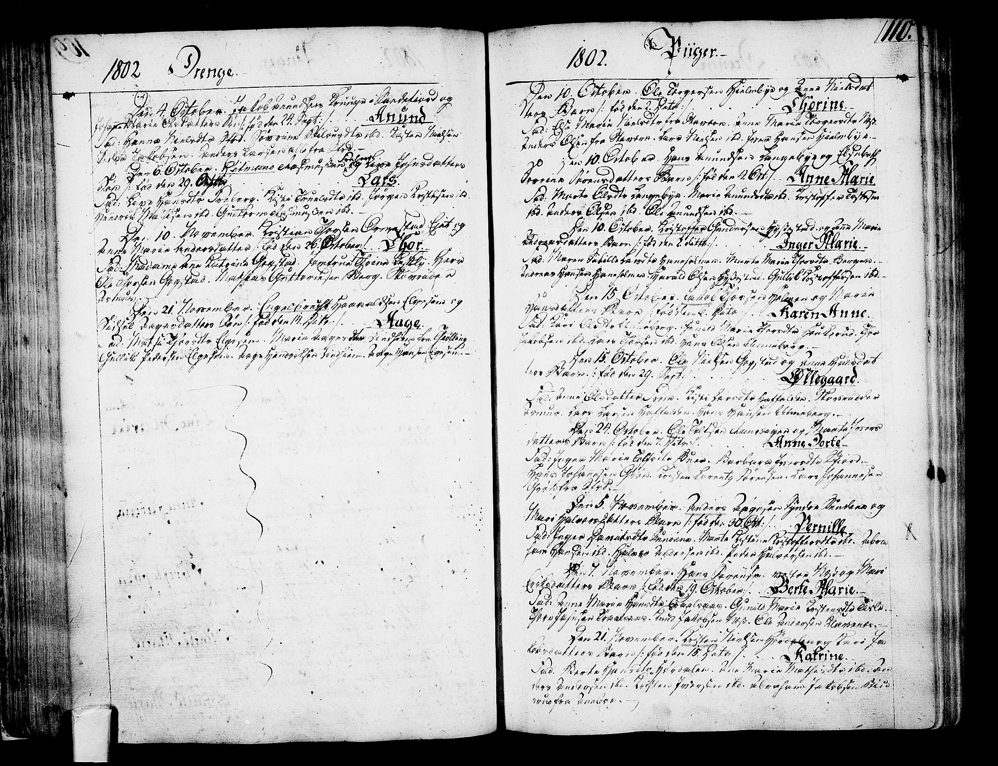 Sandar kirkebøker, AV/SAKO-A-243/F/Fa/L0003: Parish register (official) no. 3, 1789-1814, p. 110