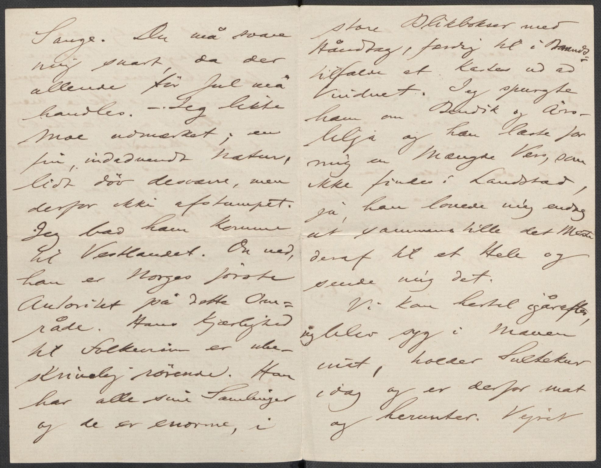 Beyer, Frants, AV/RA-PA-0132/F/L0001: Brev fra Edvard Grieg til Frantz Beyer og "En del optegnelser som kan tjene til kommentar til brevene" av Marie Beyer, 1872-1907, p. 342