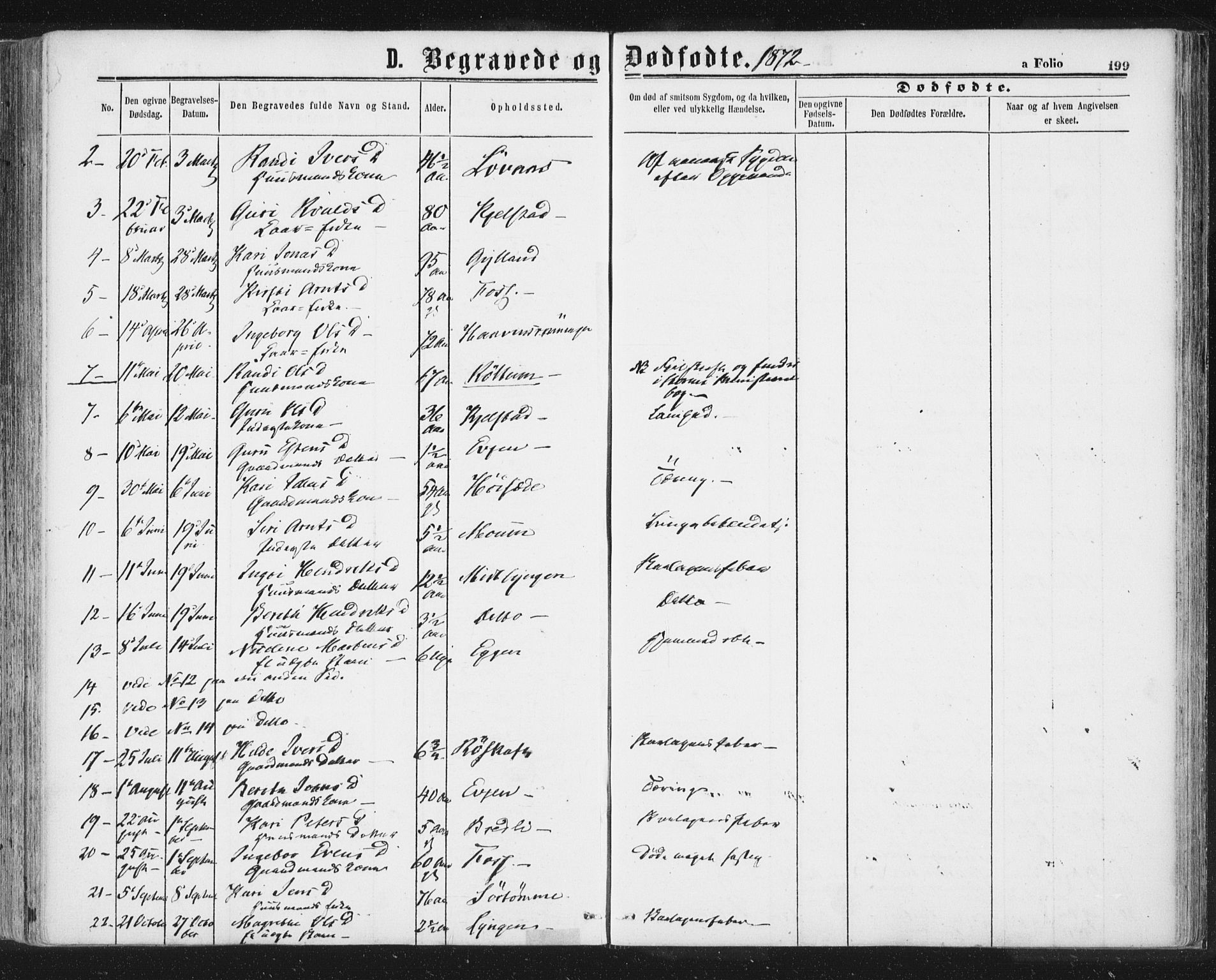 Ministerialprotokoller, klokkerbøker og fødselsregistre - Sør-Trøndelag, AV/SAT-A-1456/692/L1104: Parish register (official) no. 692A04, 1862-1878, p. 199