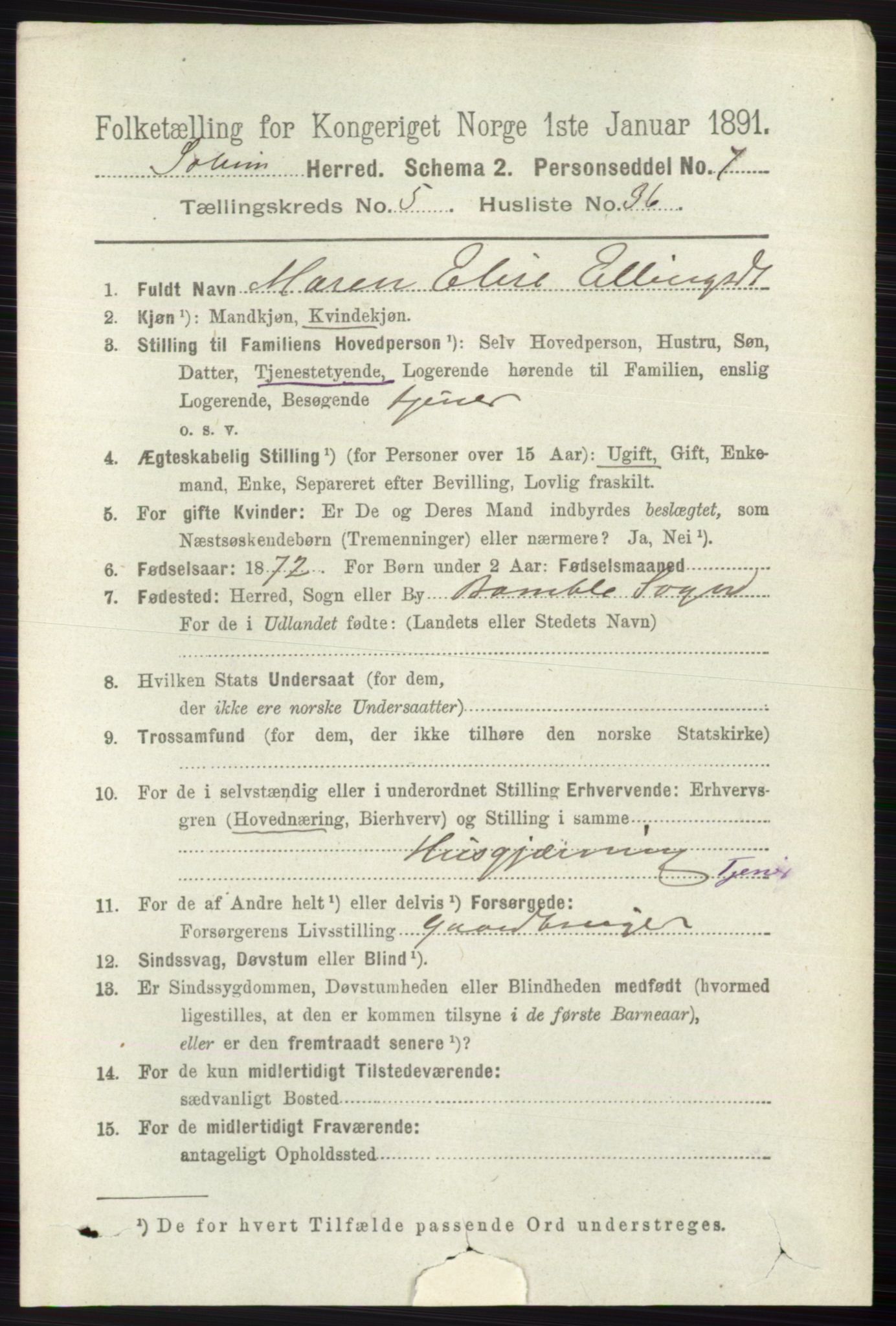 RA, 1891 census for 0818 Solum, 1891, p. 1061