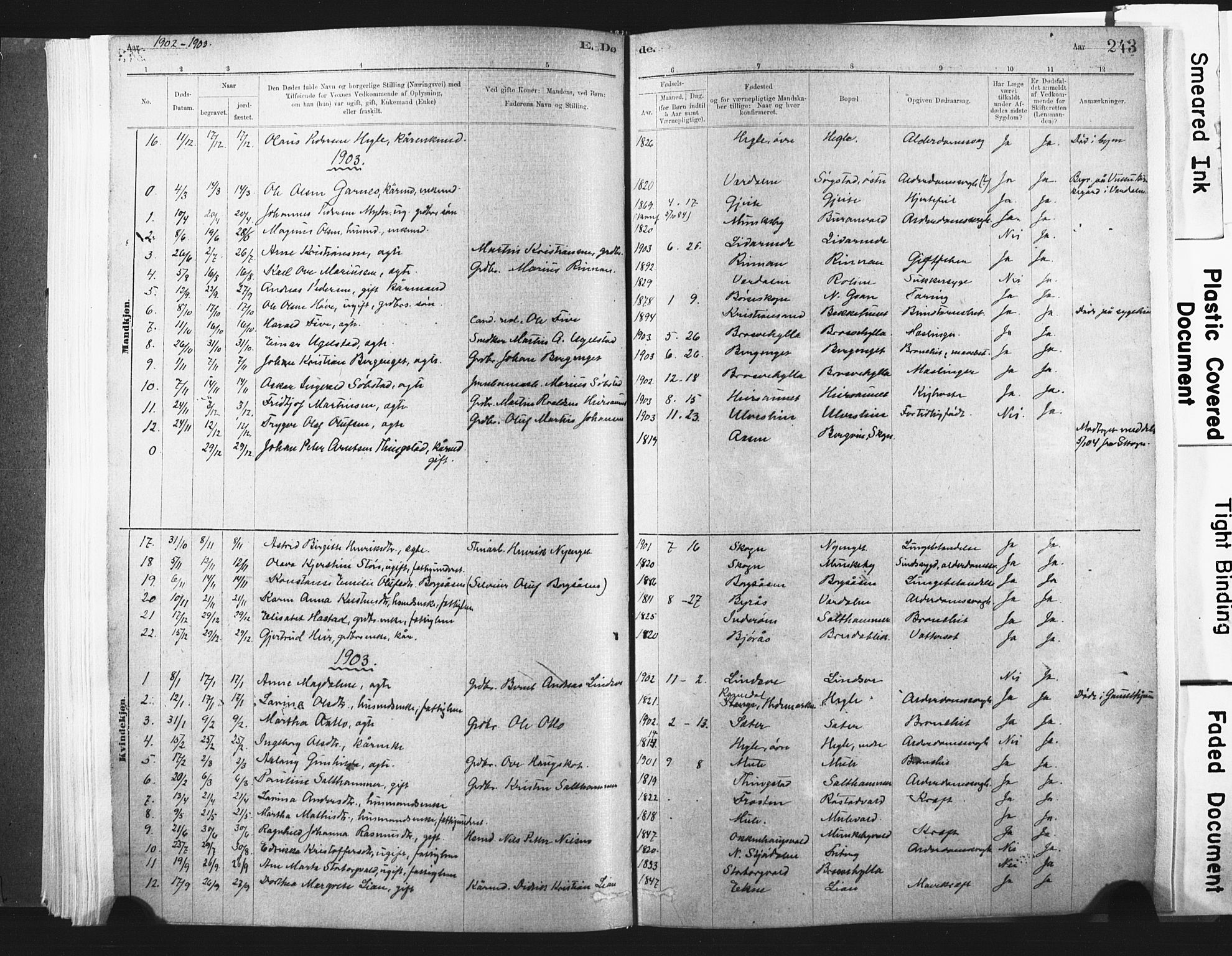 Ministerialprotokoller, klokkerbøker og fødselsregistre - Nord-Trøndelag, AV/SAT-A-1458/721/L0207: Parish register (official) no. 721A02, 1880-1911, p. 243