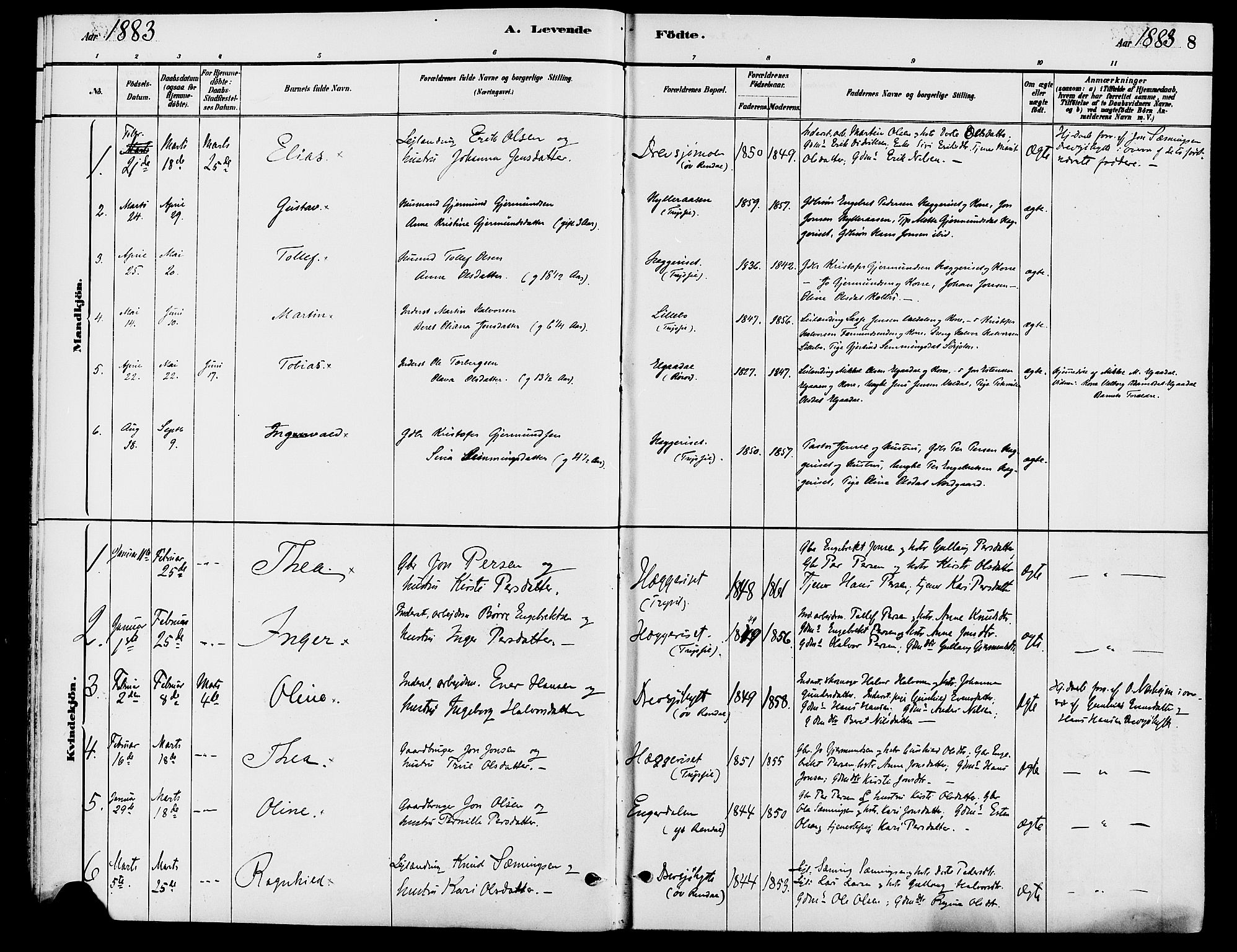 Engerdal prestekontor, SAH/PREST-048/H/Ha/Haa/L0001: Parish register (official) no. 1, 1881-1898, p. 8