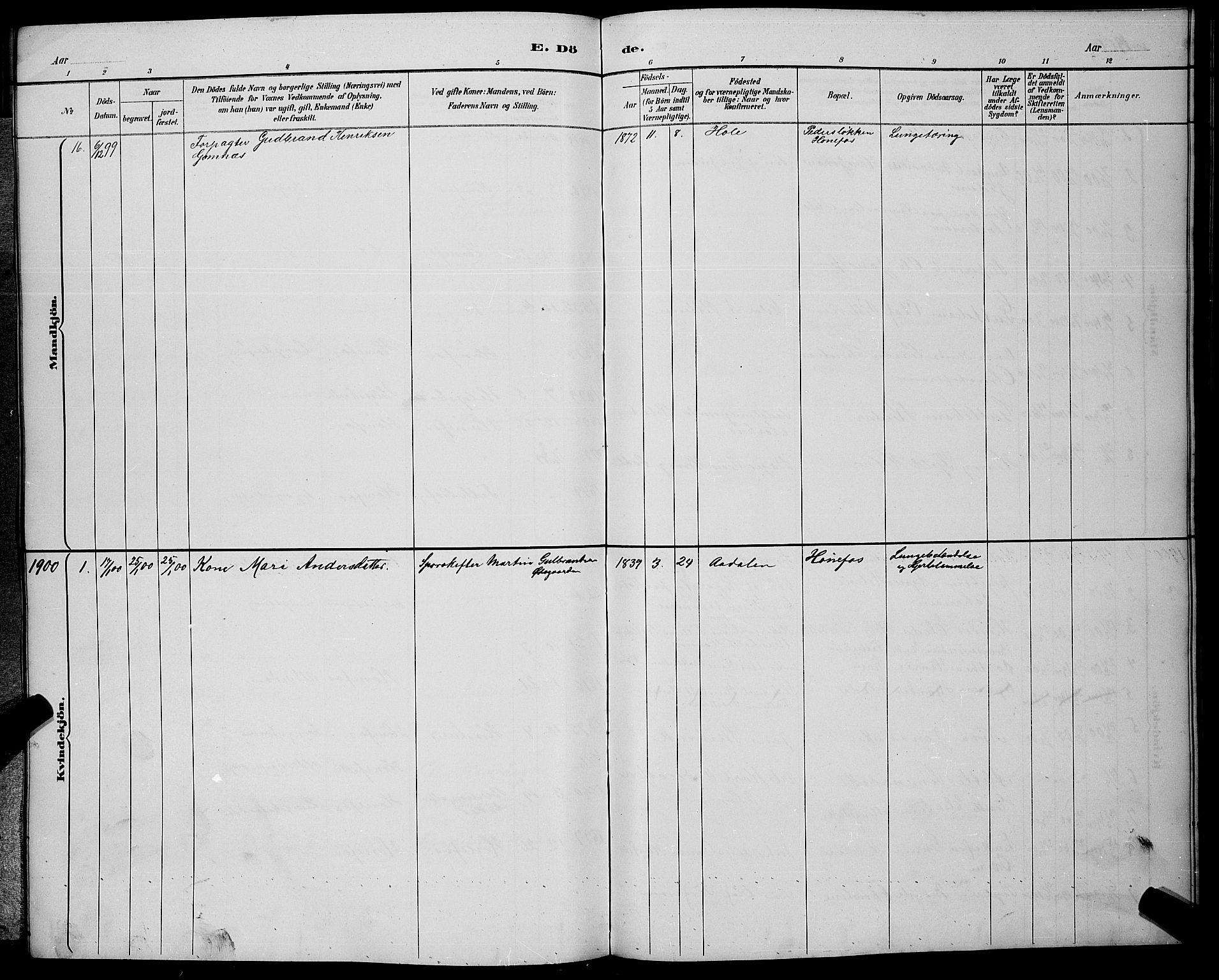 Hønefoss kirkebøker, AV/SAKO-A-609/G/Ga/L0002: Parish register (copy) no. 2, 1888-1904