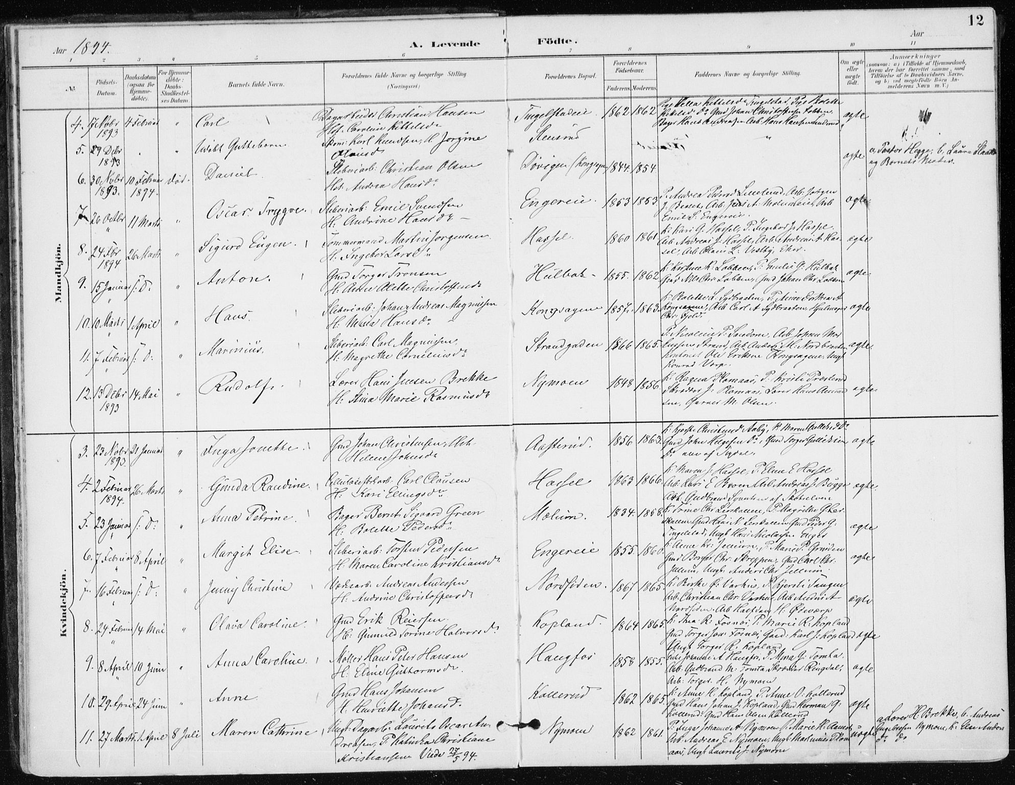 Modum kirkebøker, AV/SAKO-A-234/F/Fa/L0016: Parish register (official) no. 16, 1890-1899, p. 12