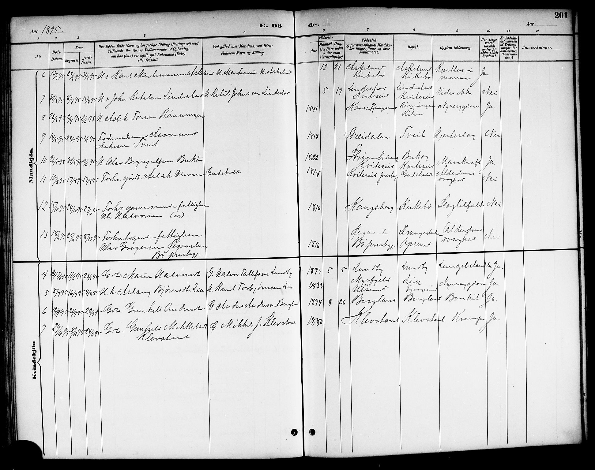 Kviteseid kirkebøker, SAKO/A-276/G/Ga/L0002: Parish register (copy) no. I 2, 1893-1918, p. 201