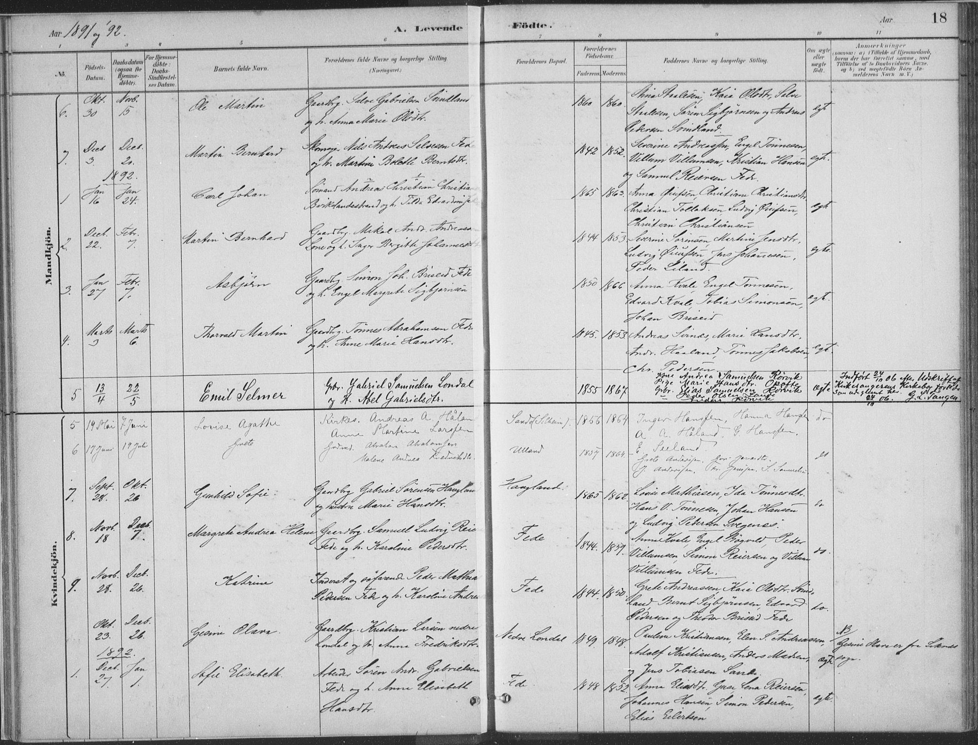 Kvinesdal sokneprestkontor, SAK/1111-0026/F/Fa/Faa/L0004: Parish register (official) no. A 4, 1882-1897, p. 18