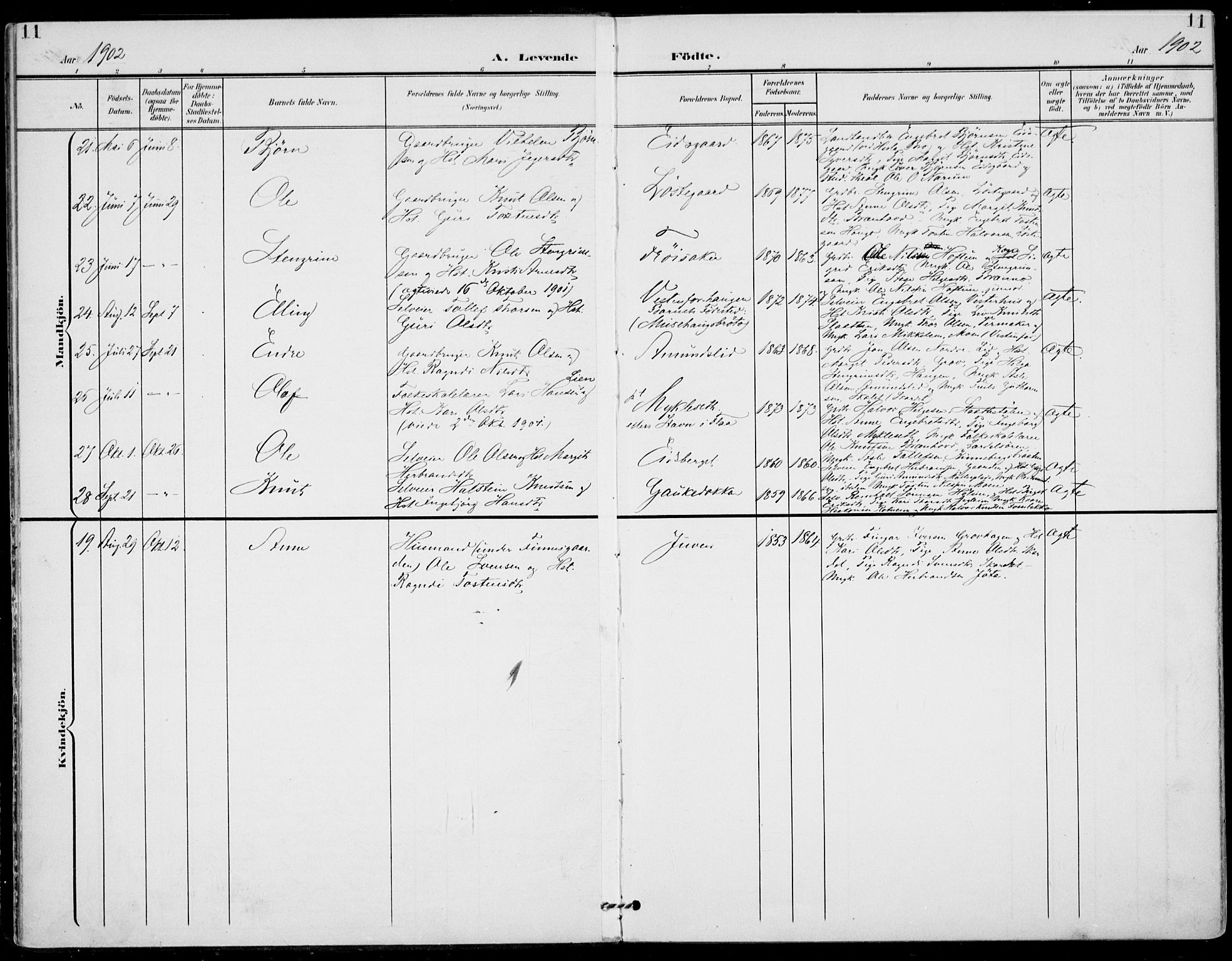 Gol kirkebøker, AV/SAKO-A-226/F/Fa/L0006: Parish register (official) no. I 6, 1901-1918, p. 11