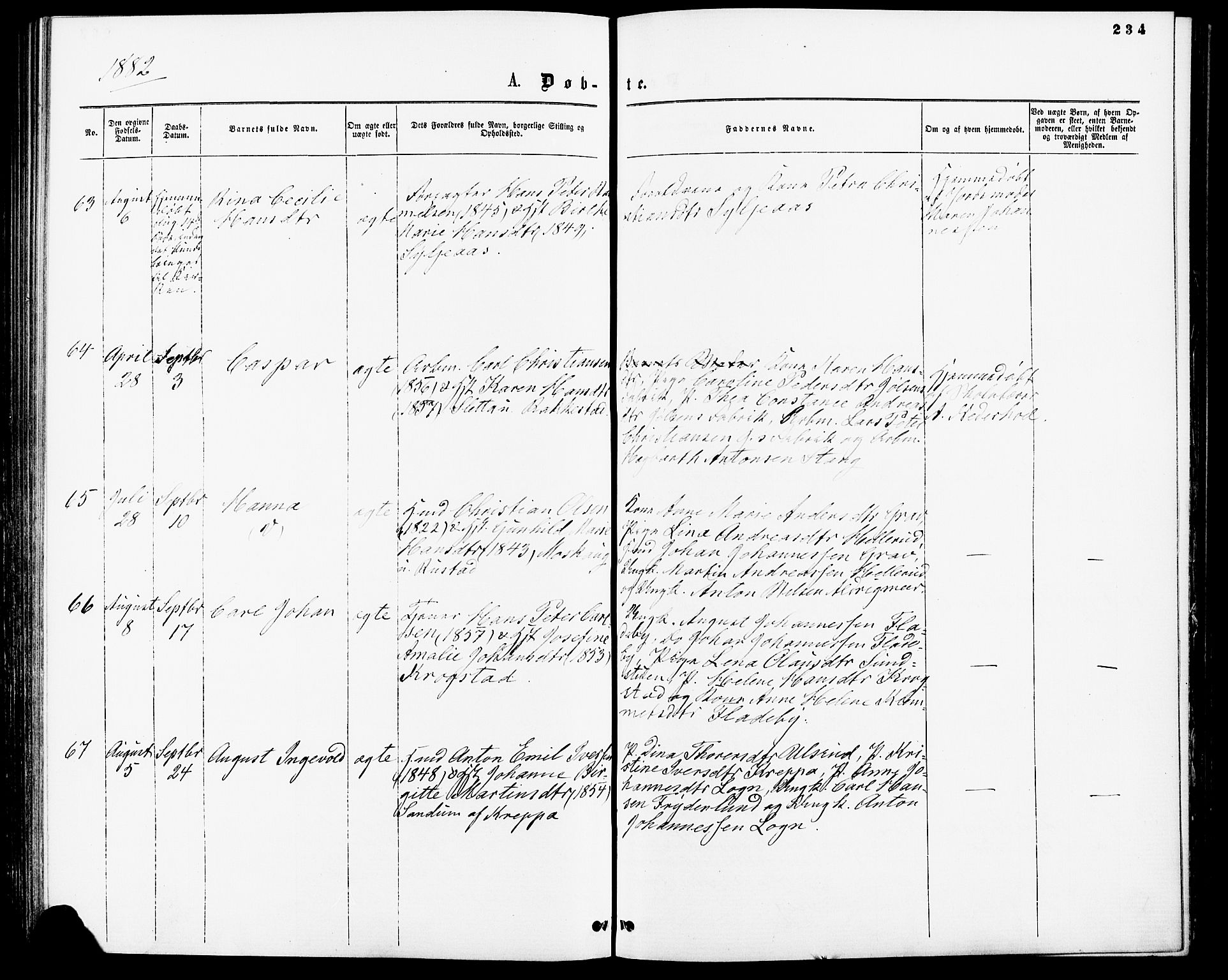 Enebakk prestekontor Kirkebøker, AV/SAO-A-10171c/F/Fa/L0011: Parish register (official) no. I 11, 1862-1882, p. 234