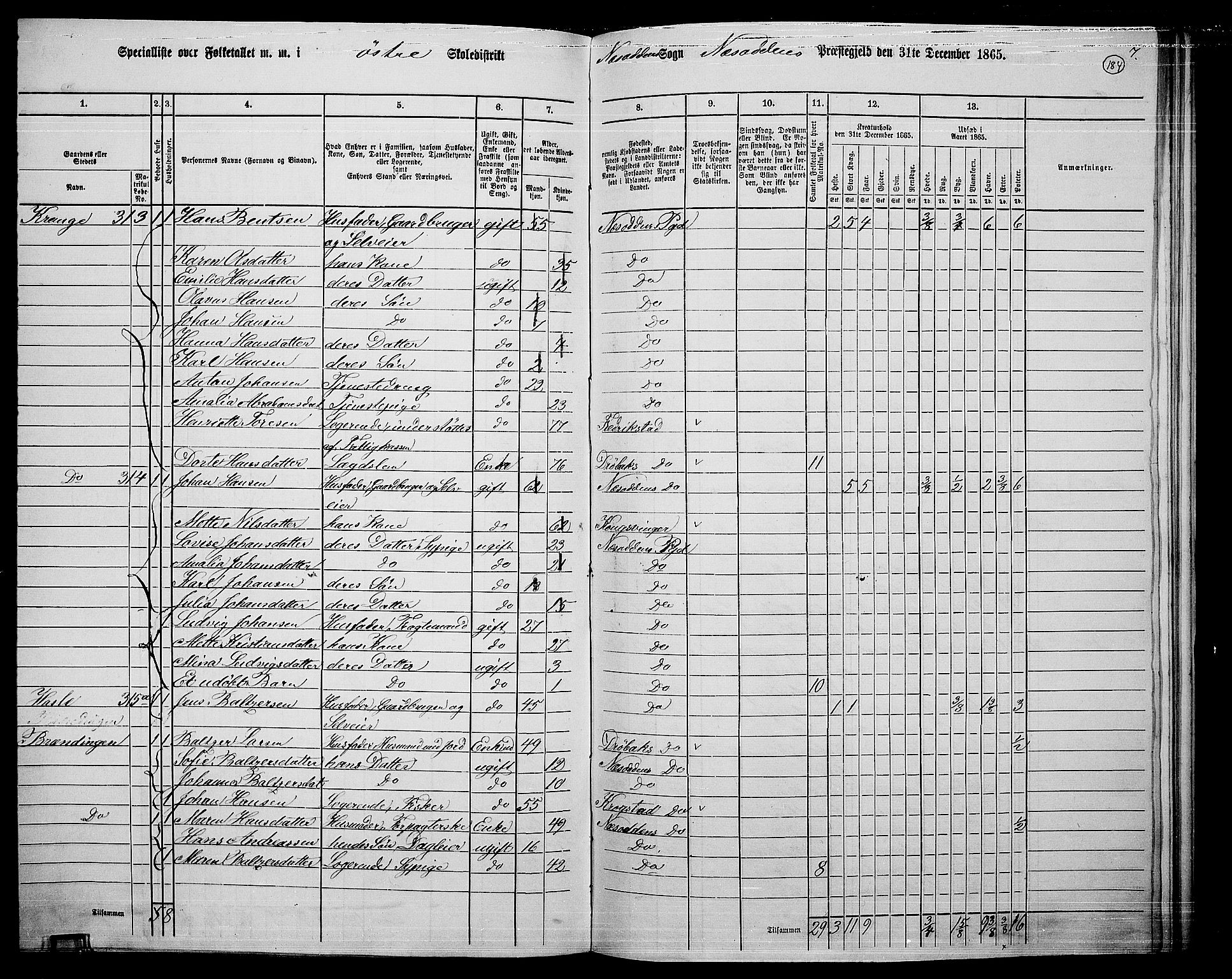 RA, 1865 census for Nesodden, 1865, p. 26