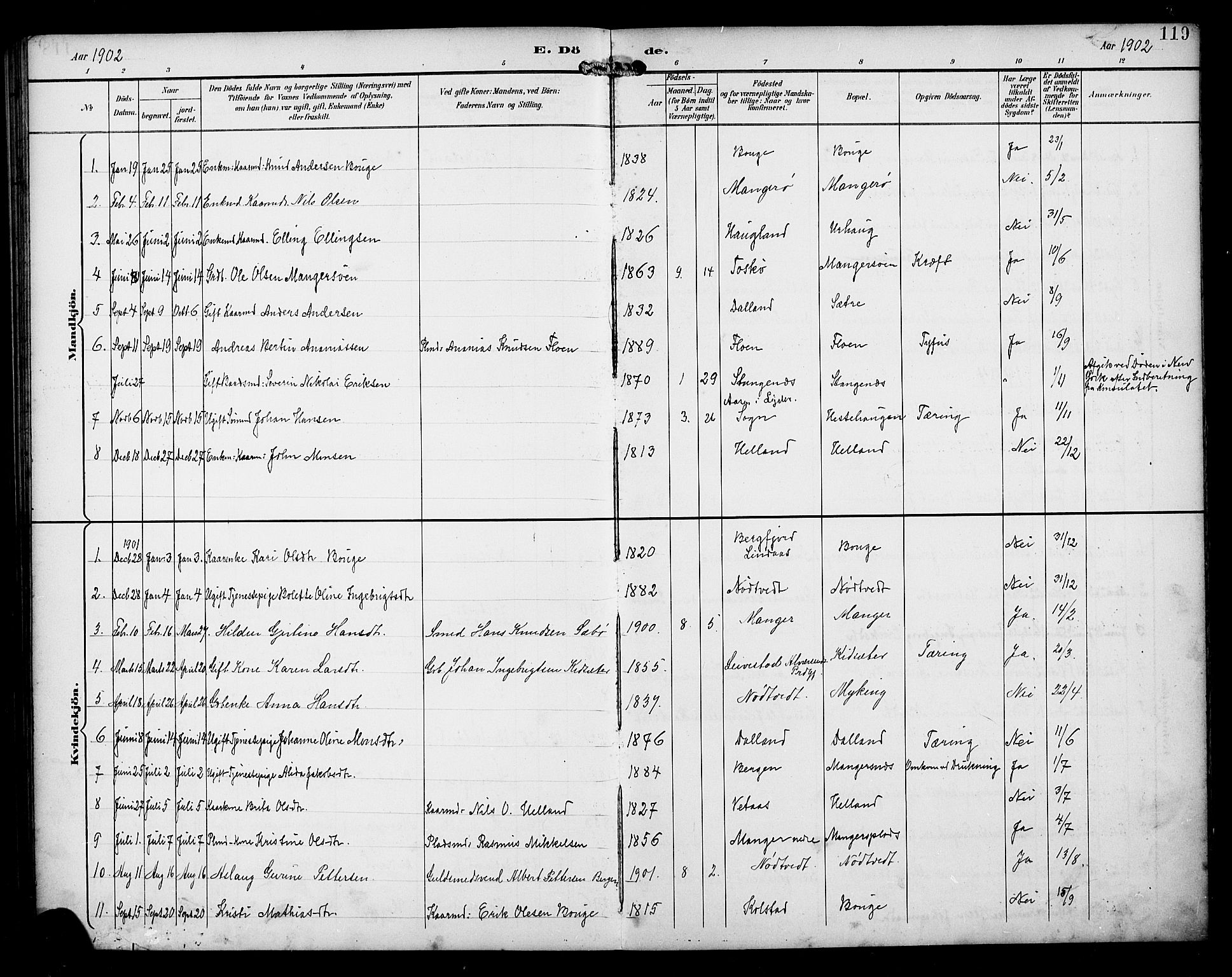 Manger sokneprestembete, SAB/A-76801/H/Haa: Parish register (official) no. B 2, 1893-1906, p. 119