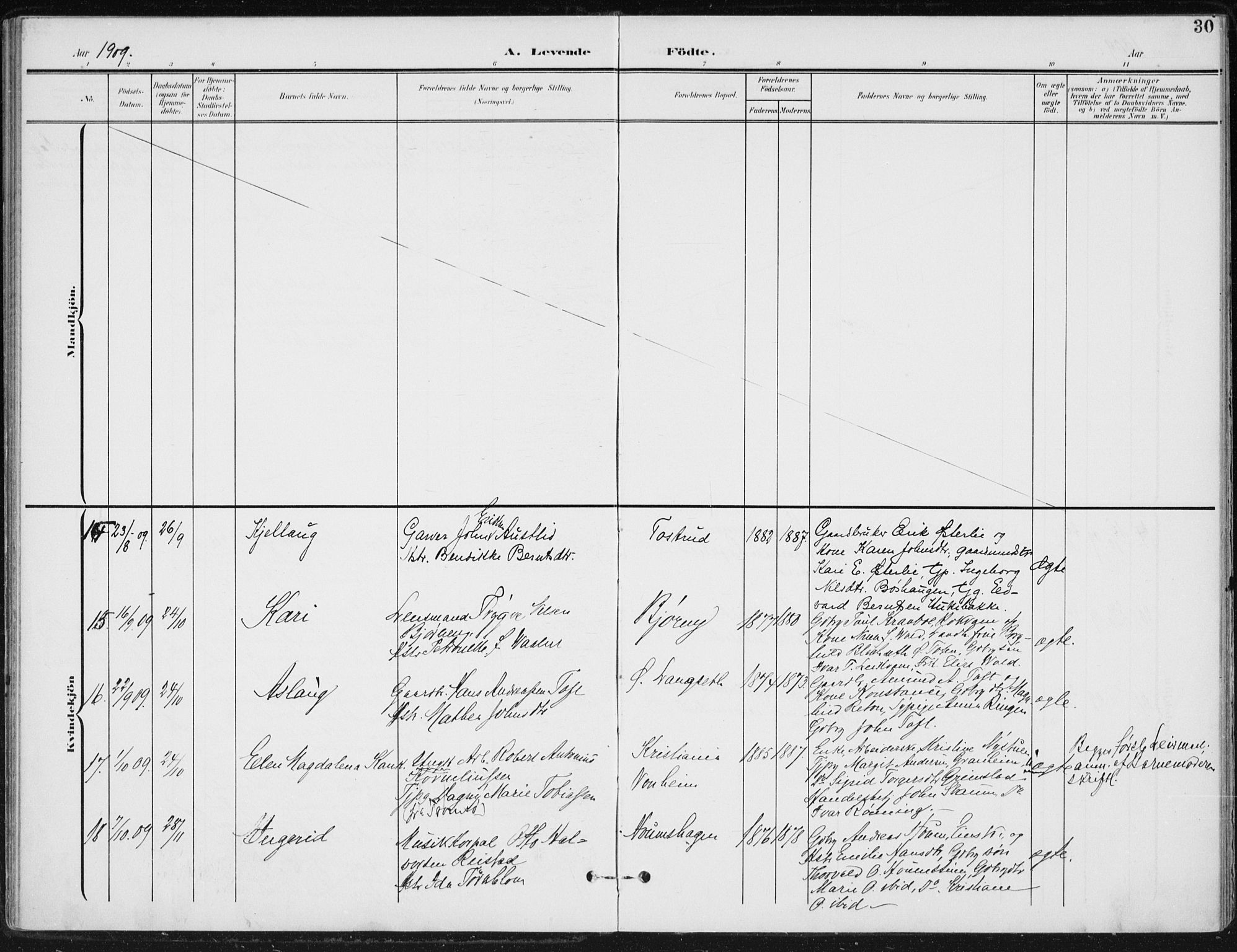 Østre Gausdal prestekontor, AV/SAH-PREST-092/H/Ha/Haa/L0005: Parish register (official) no. 5, 1902-1920, p. 30