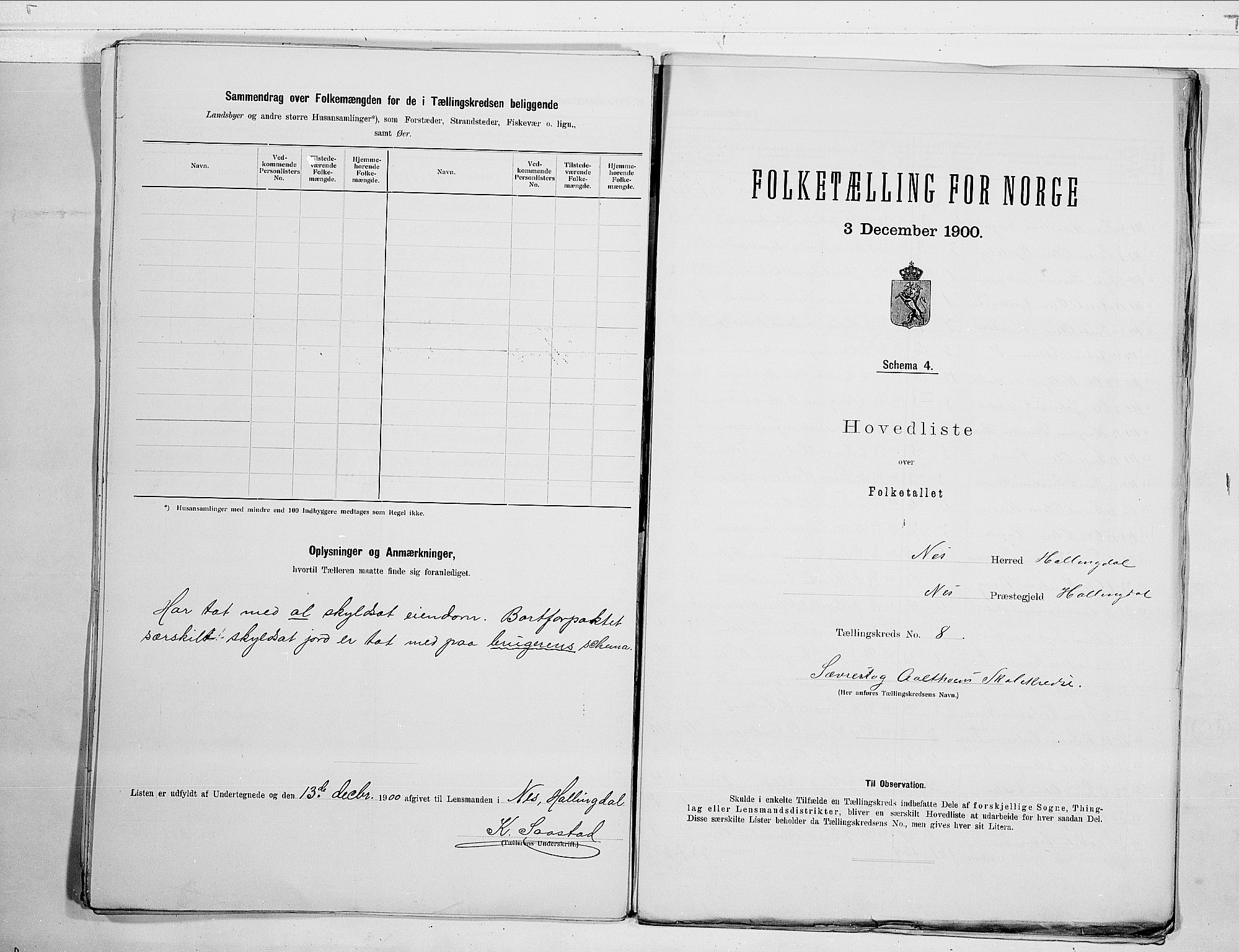 RA, 1900 census for Nes, 1900, p. 20