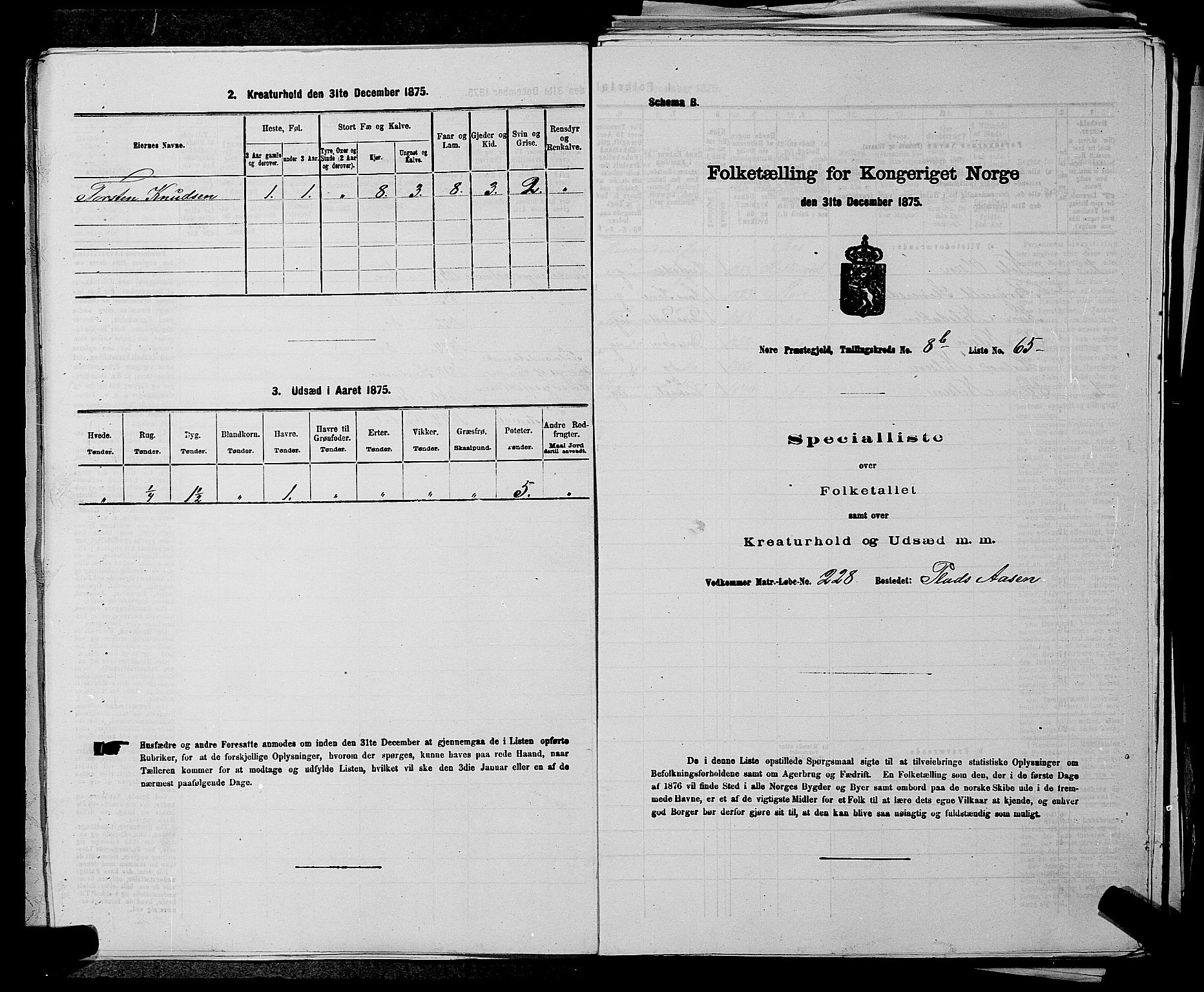 SAKO, 1875 census for 0633P Nore, 1875, p. 1007