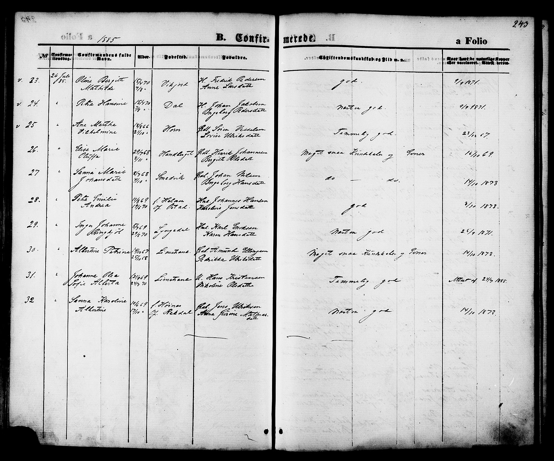 Ministerialprotokoller, klokkerbøker og fødselsregistre - Nordland, SAT/A-1459/880/L1132: Parish register (official) no. 880A06, 1869-1887, p. 243