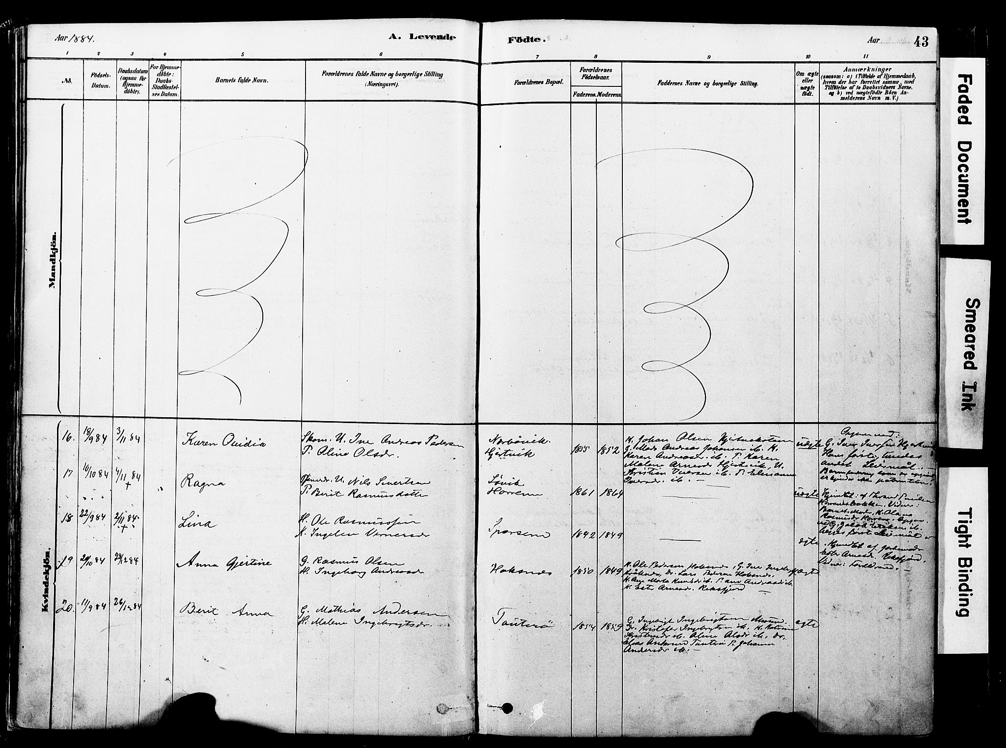 Ministerialprotokoller, klokkerbøker og fødselsregistre - Møre og Romsdal, SAT/A-1454/560/L0721: Parish register (official) no. 560A05, 1878-1917, p. 43