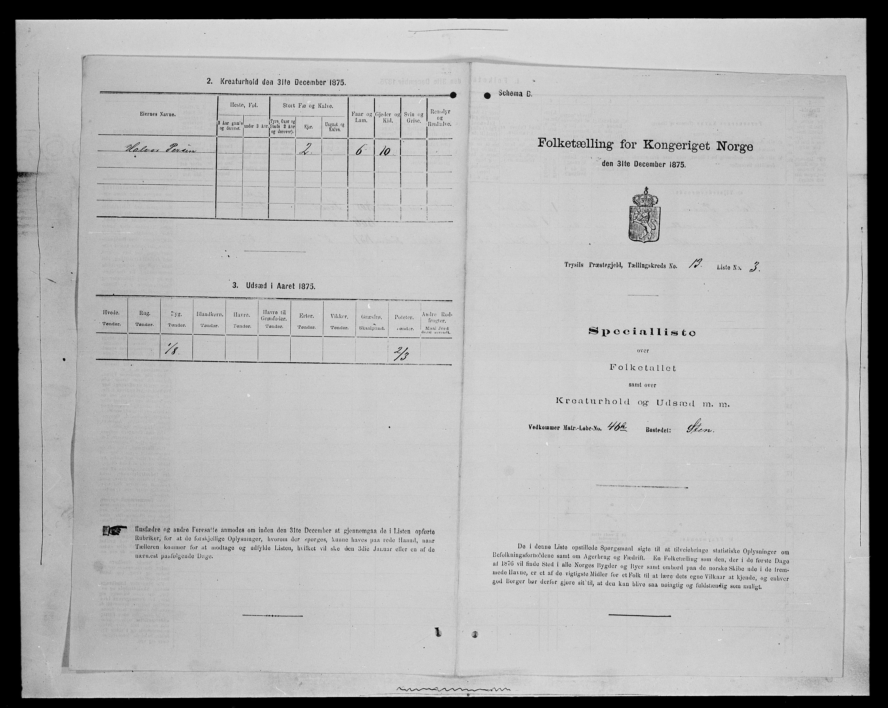 SAH, 1875 census for 0428P Trysil, 1875, p. 1362