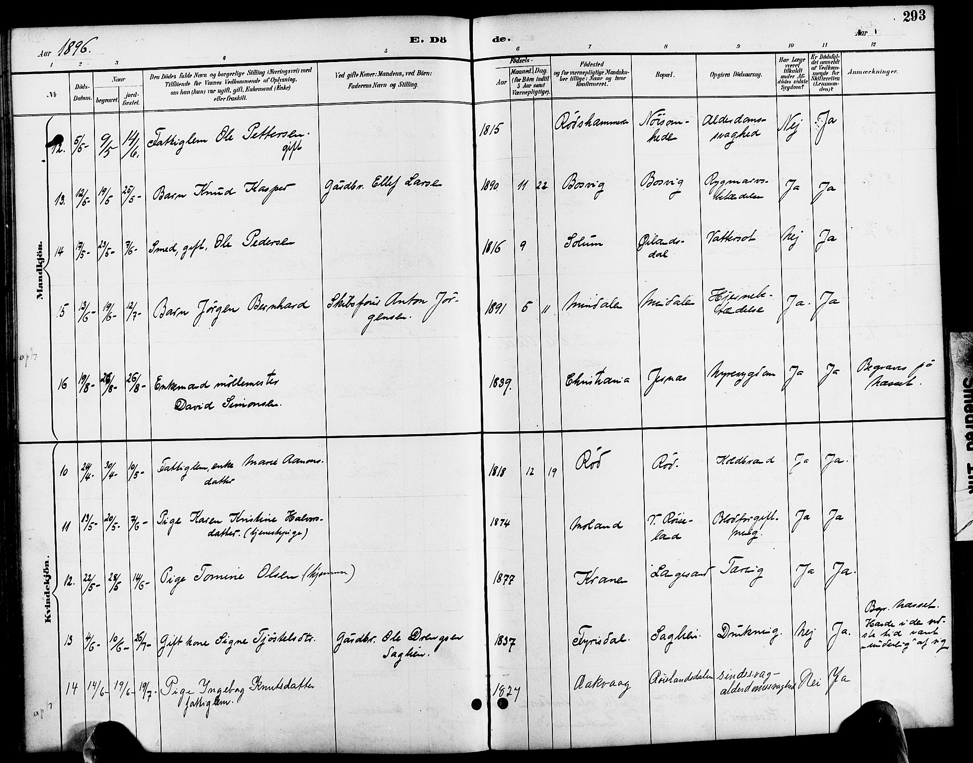 Søndeled sokneprestkontor, AV/SAK-1111-0038/F/Fa/L0005: Parish register (official) no. A 5, 1889-1899, p. 293