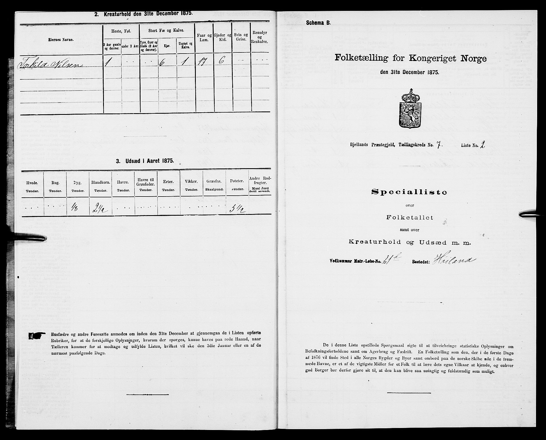 SAK, 1875 census for 1024P Bjelland, 1875, p. 393