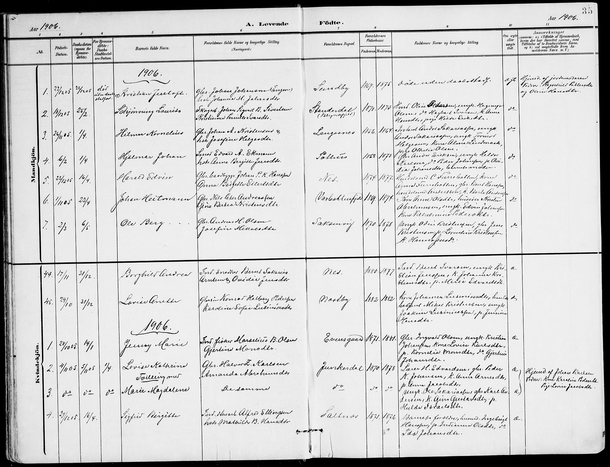 Ministerialprotokoller, klokkerbøker og fødselsregistre - Nordland, AV/SAT-A-1459/847/L0672: Parish register (official) no. 847A12, 1902-1919, p. 35