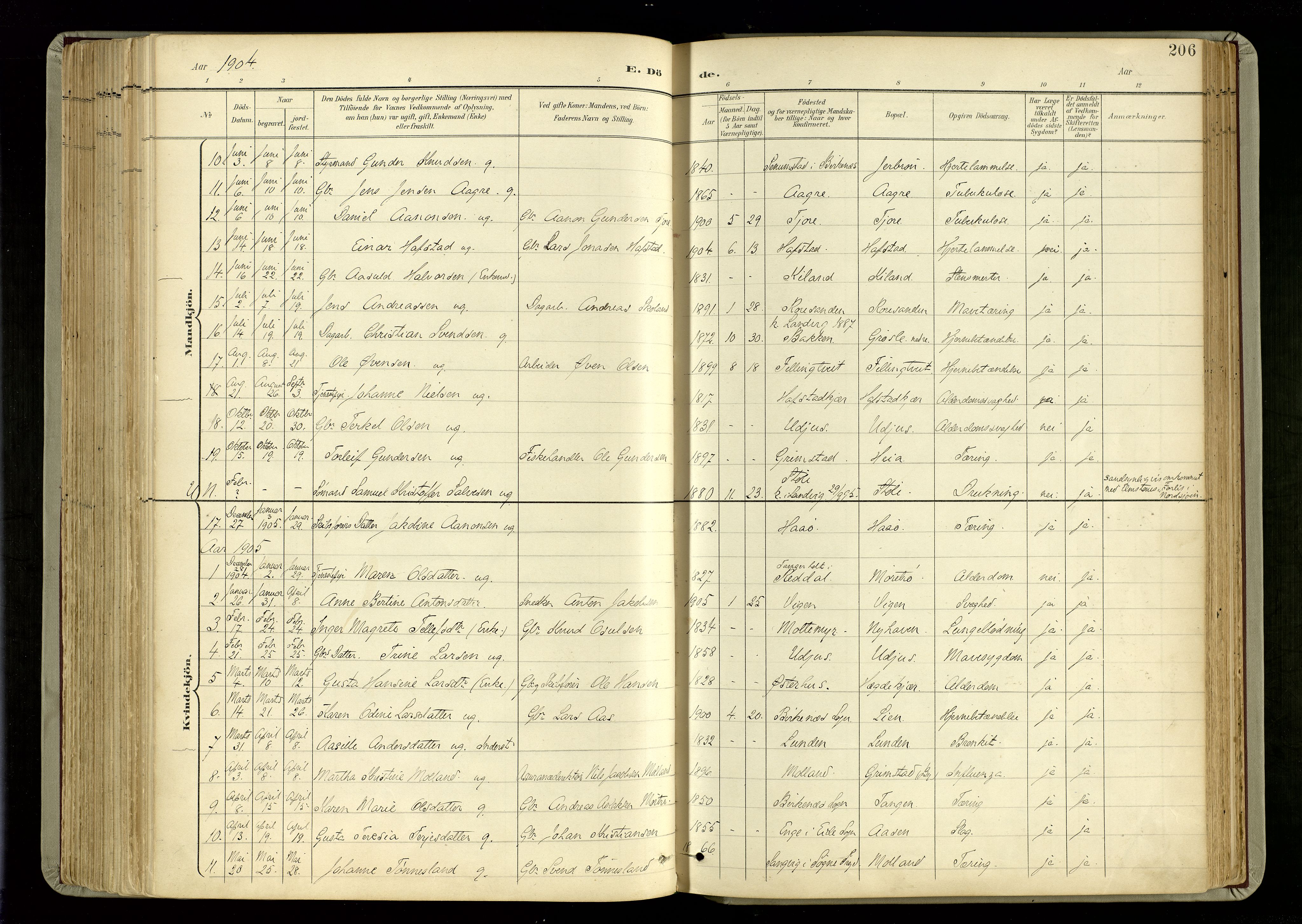 Hommedal sokneprestkontor, SAK/1111-0023/F/Fa/Fab/L0007: Parish register (official) no. A 7, 1898-1924, p. 206