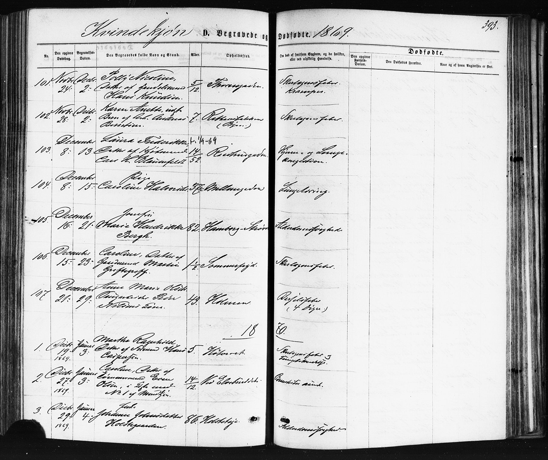 Bragernes kirkebøker, AV/SAKO-A-6/F/Fb/L0004: Parish register (official) no. II 4, 1869-1875, p. 393