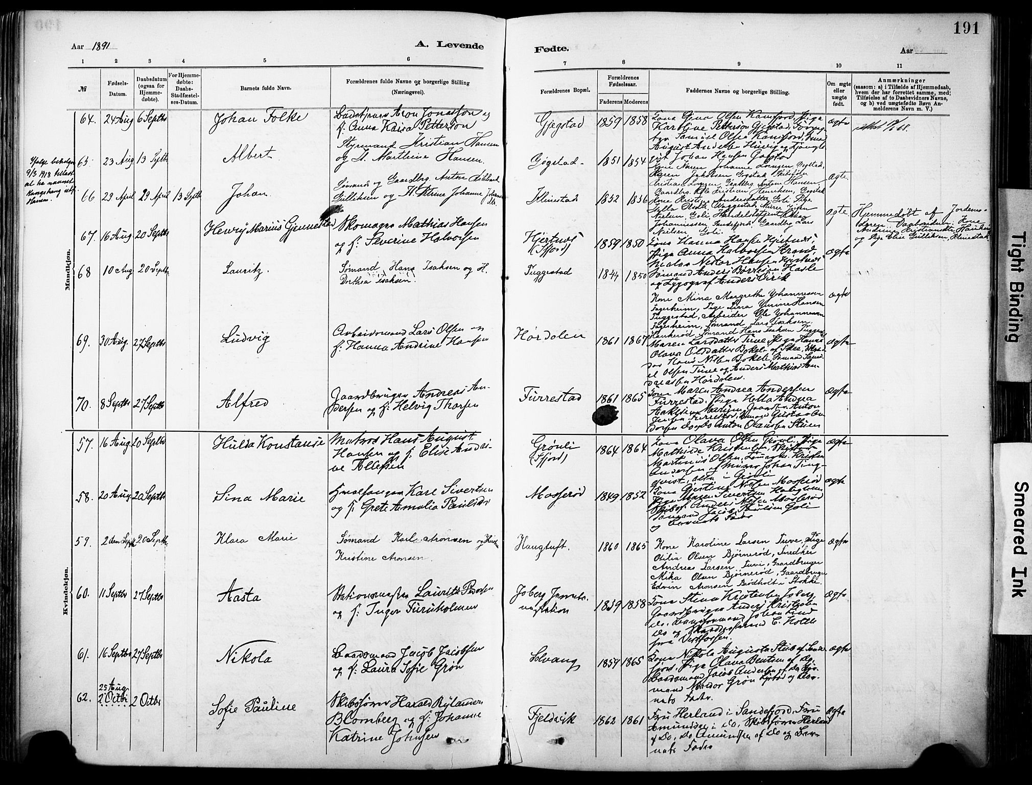 Sandar kirkebøker, AV/SAKO-A-243/F/Fa/L0012: Parish register (official) no. 12, 1883-1895, p. 191