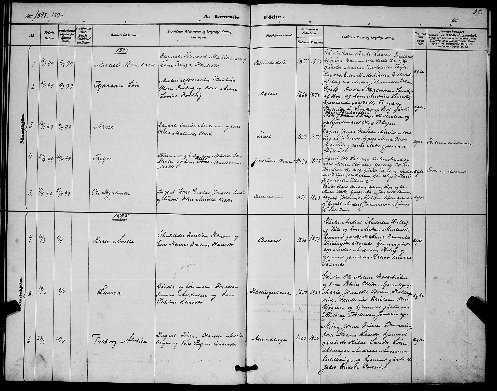 Botne kirkebøker, SAKO/A-340/G/Gb/L0003: Parish register (copy) no. II 3, 1887-1899, p. 37