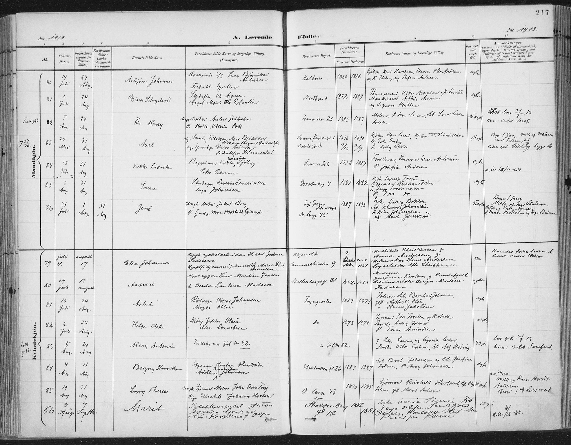 Tønsberg kirkebøker, AV/SAKO-A-330/F/Fa/L0014: Parish register (official) no. I 14, 1900-1913, p. 217