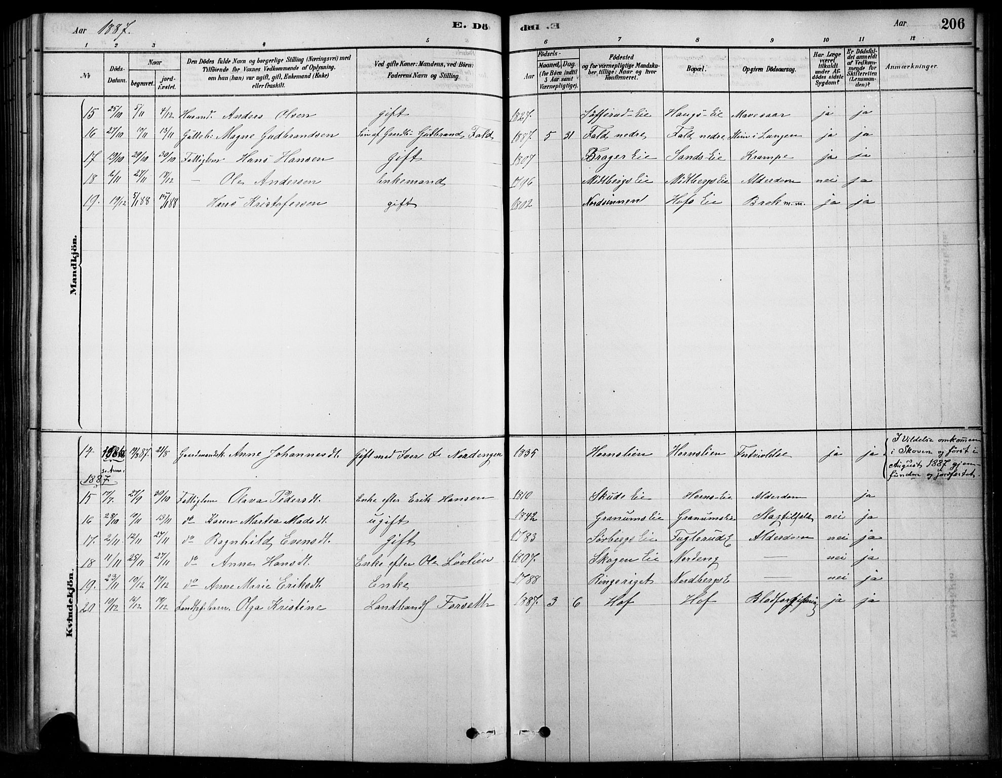 Søndre Land prestekontor, AV/SAH-PREST-122/K/L0003: Parish register (official) no. 3, 1878-1894, p. 206