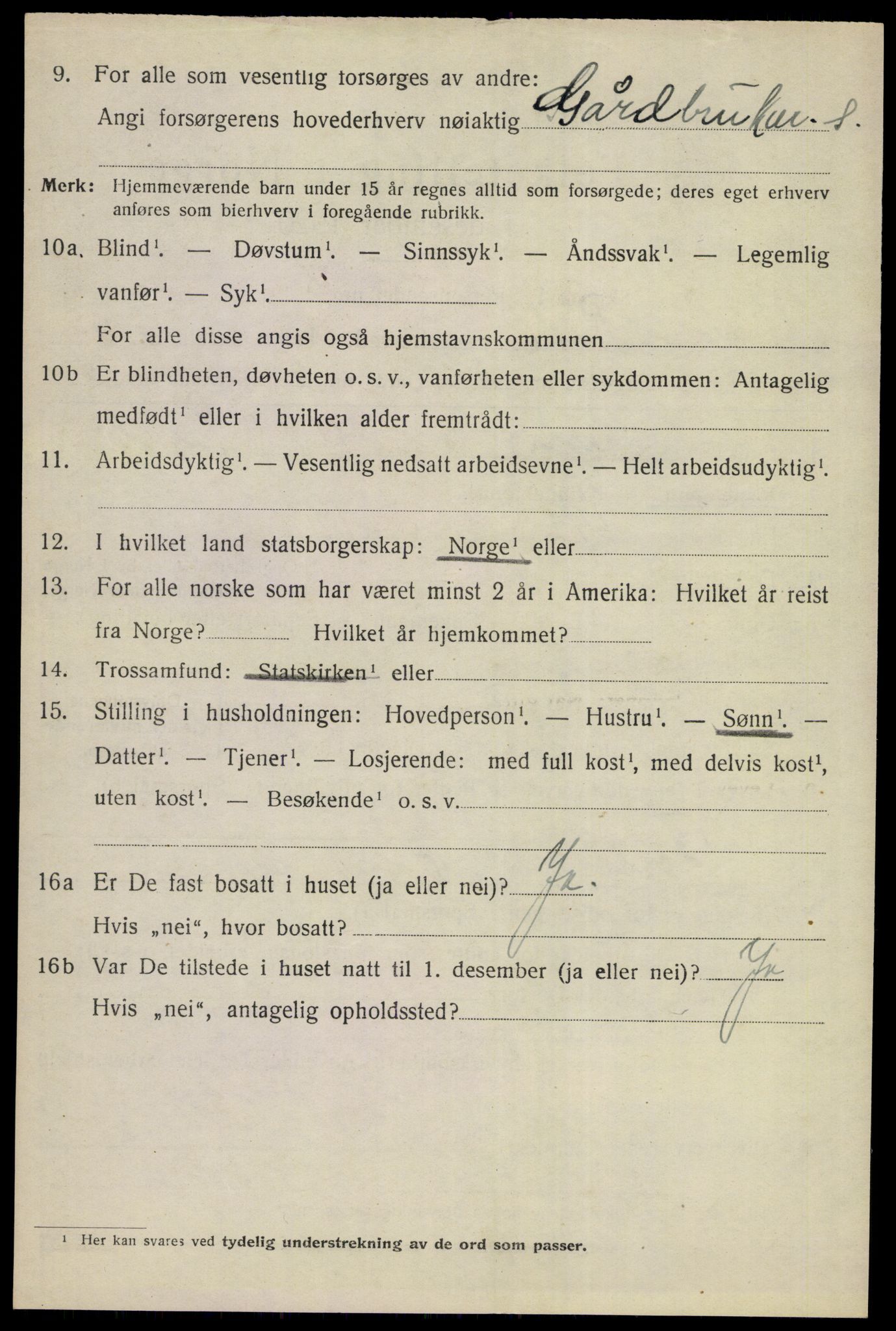 SAKO, 1920 census for Nes (Buskerud), 1920, p. 4329