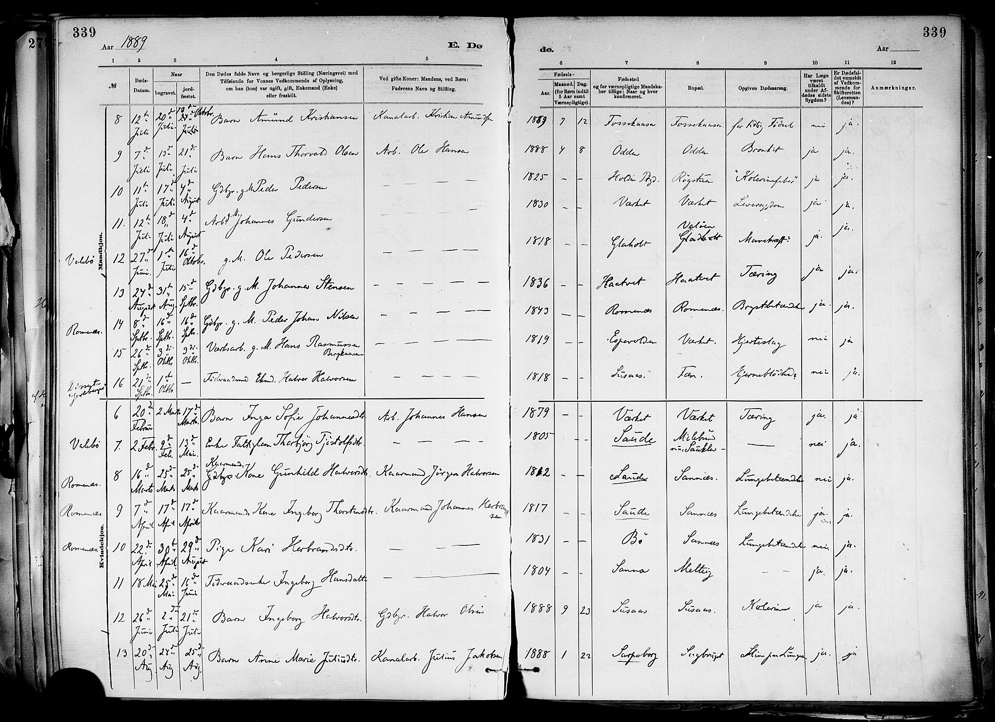 Holla kirkebøker, AV/SAKO-A-272/F/Fa/L0008: Parish register (official) no. 8, 1882-1897, p. 339