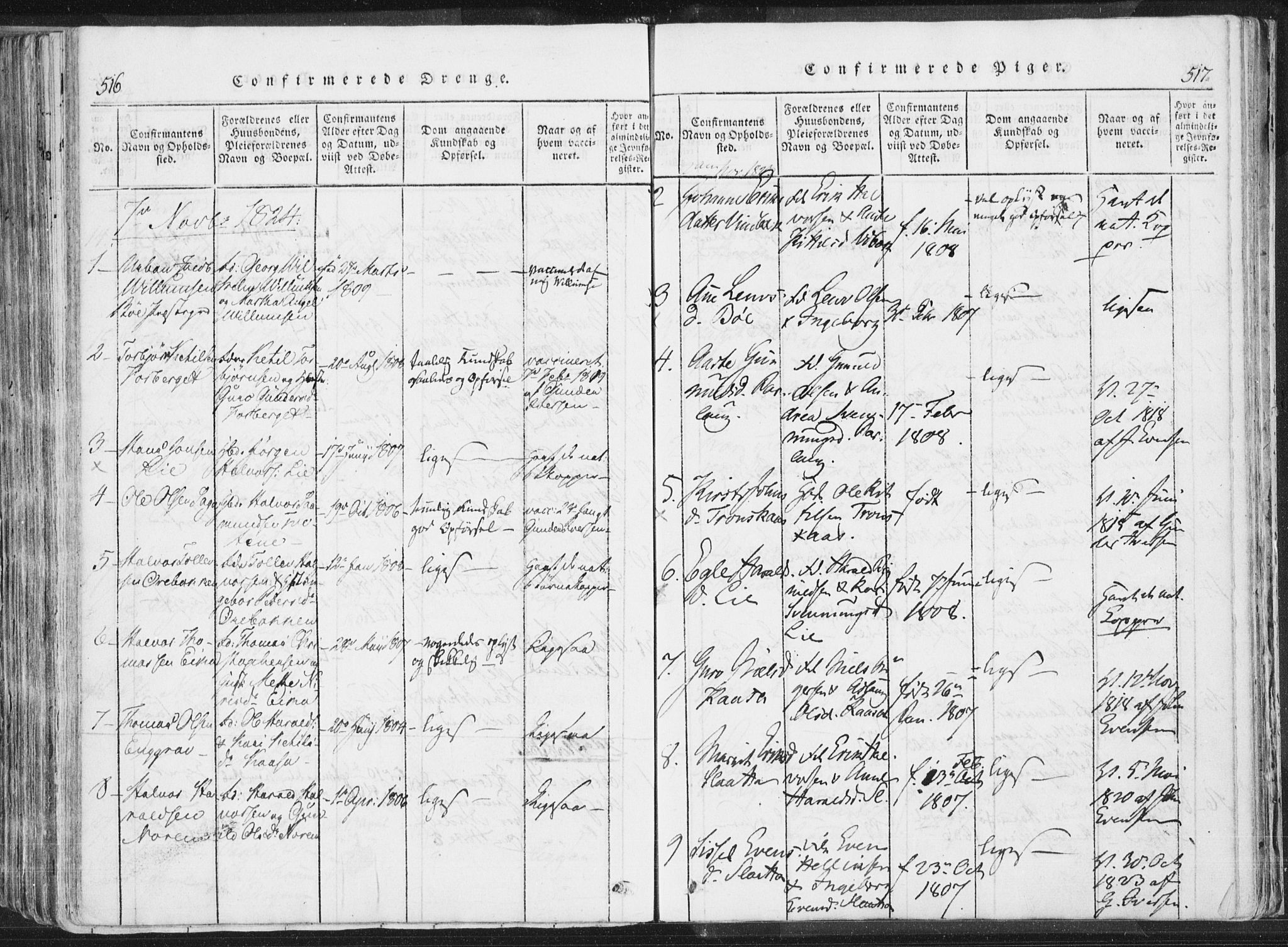 Bø kirkebøker, AV/SAKO-A-257/F/Fa/L0006: Parish register (official) no. 6, 1815-1831, p. 516-517