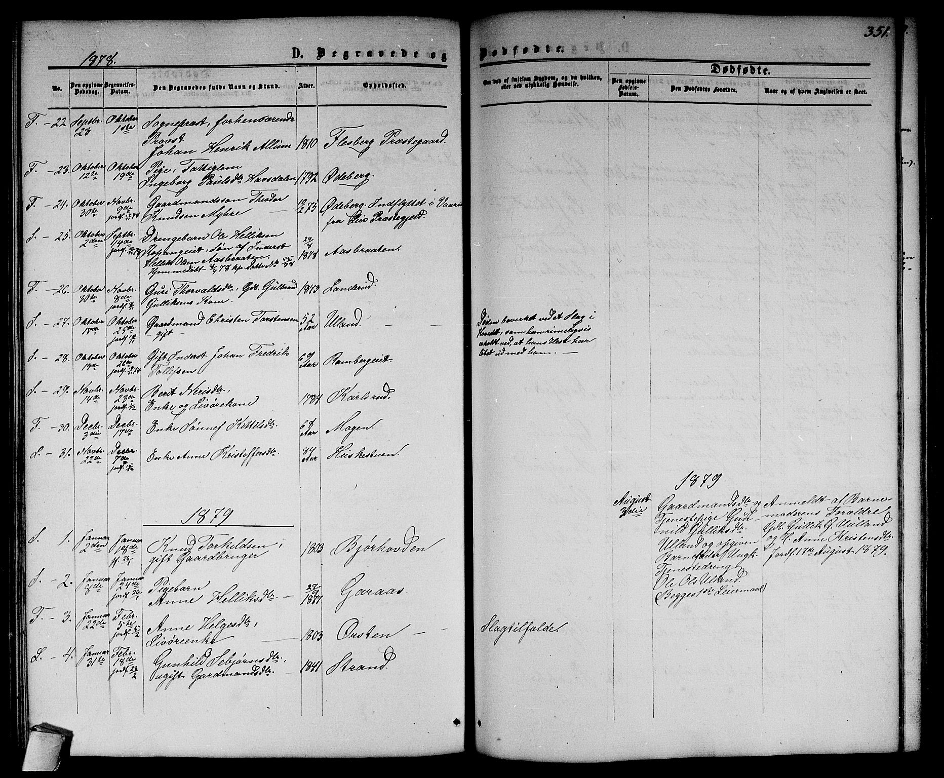 Flesberg kirkebøker, SAKO/A-18/G/Ga/L0003: Parish register (copy) no. I 3, 1861-1889, p. 351