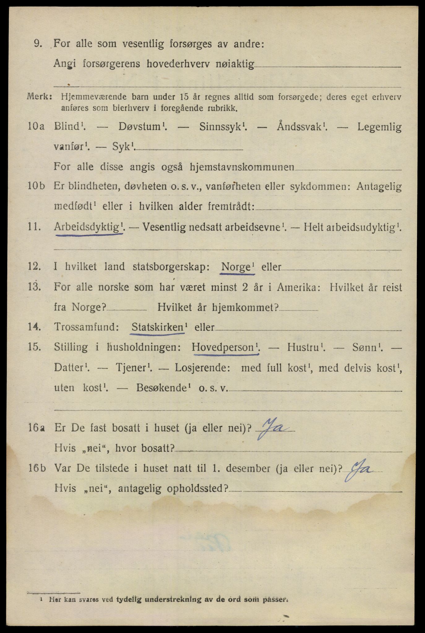 SAO, 1920 census for Nes, 1920, p. 13941