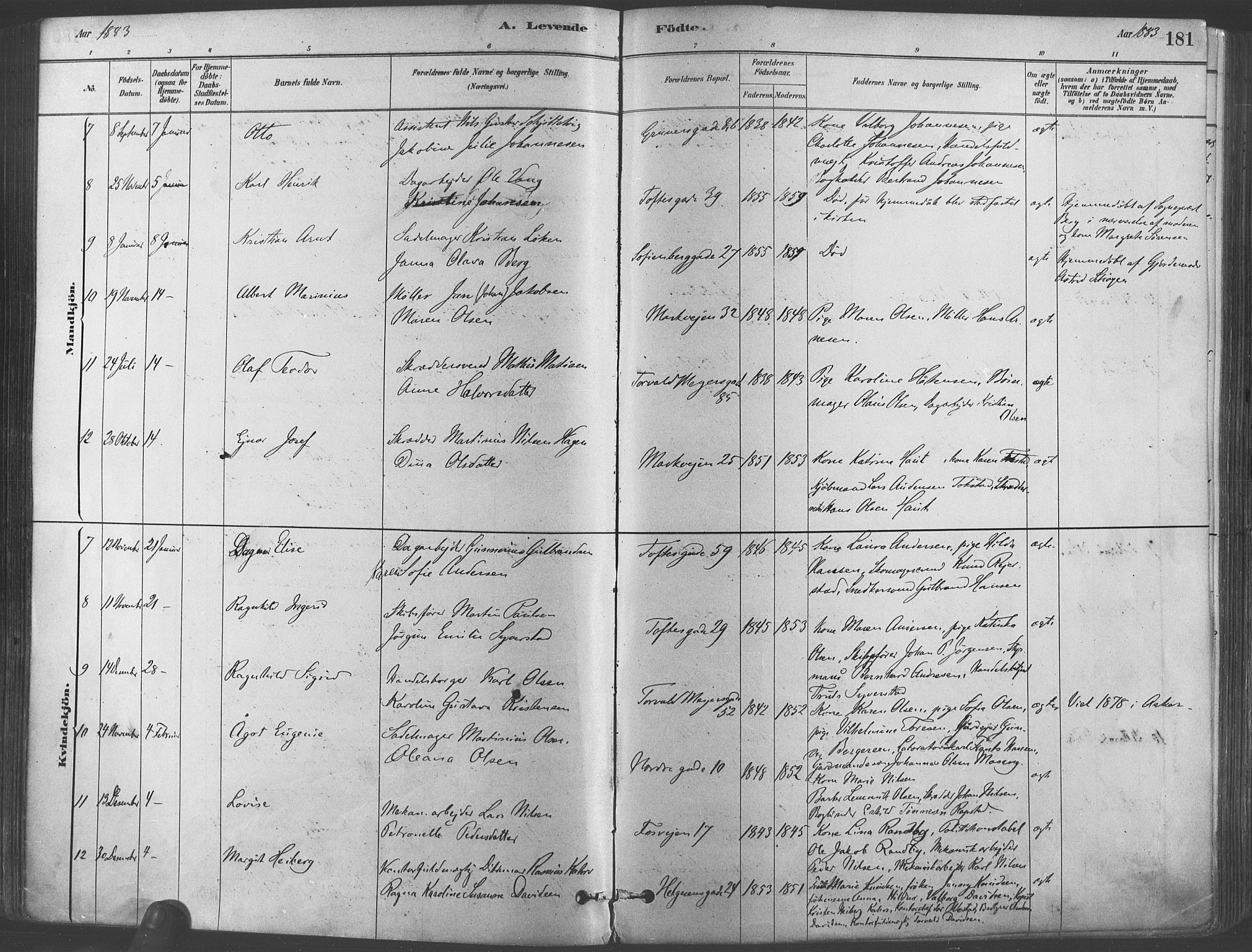 Paulus prestekontor Kirkebøker, AV/SAO-A-10871/F/Fa/L0003: Parish register (official) no. 3, 1879-1887, p. 181