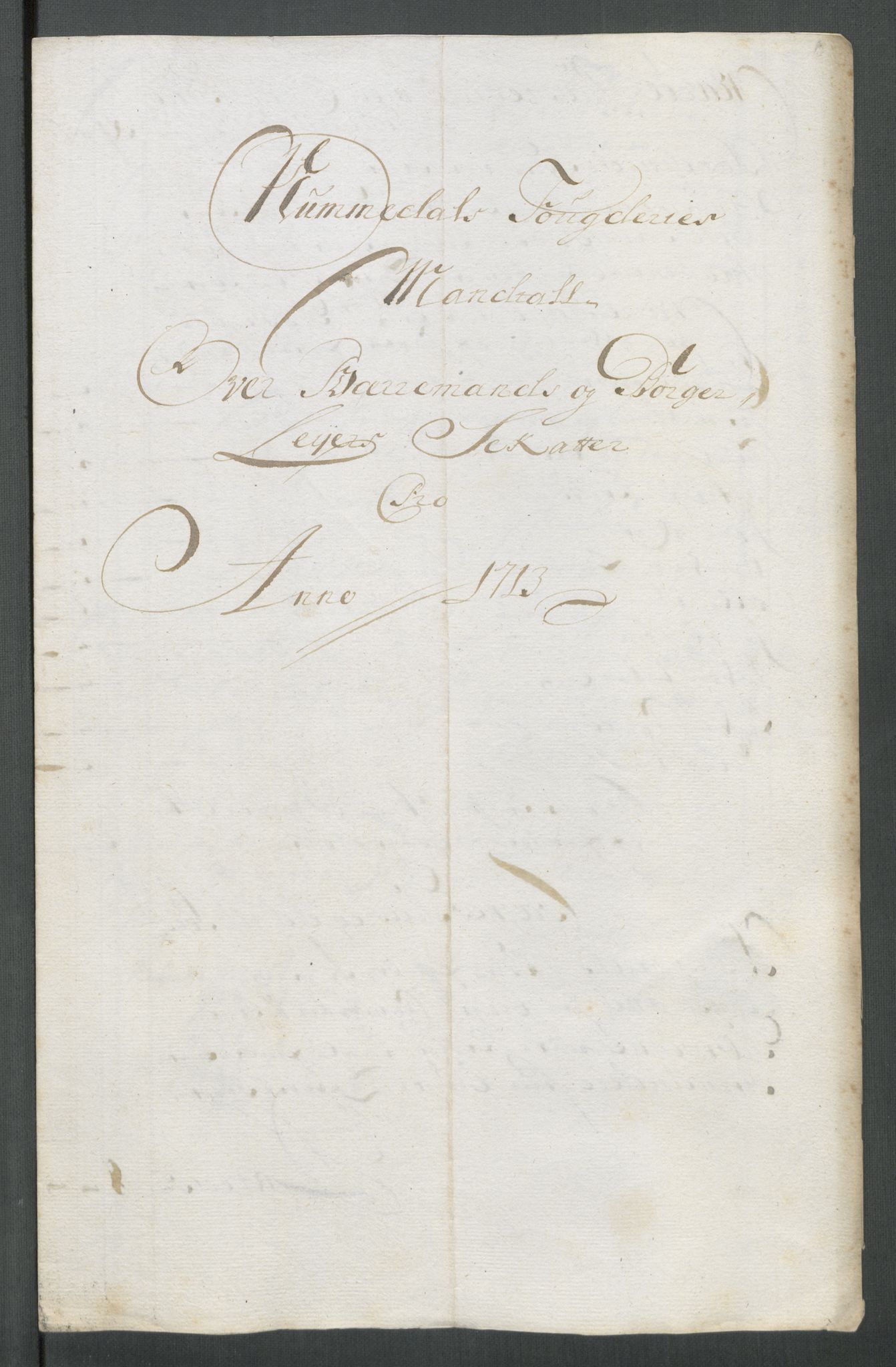 Rentekammeret inntil 1814, Reviderte regnskaper, Fogderegnskap, RA/EA-4092/R64/L4434: Fogderegnskap Namdal, 1713, p. 125