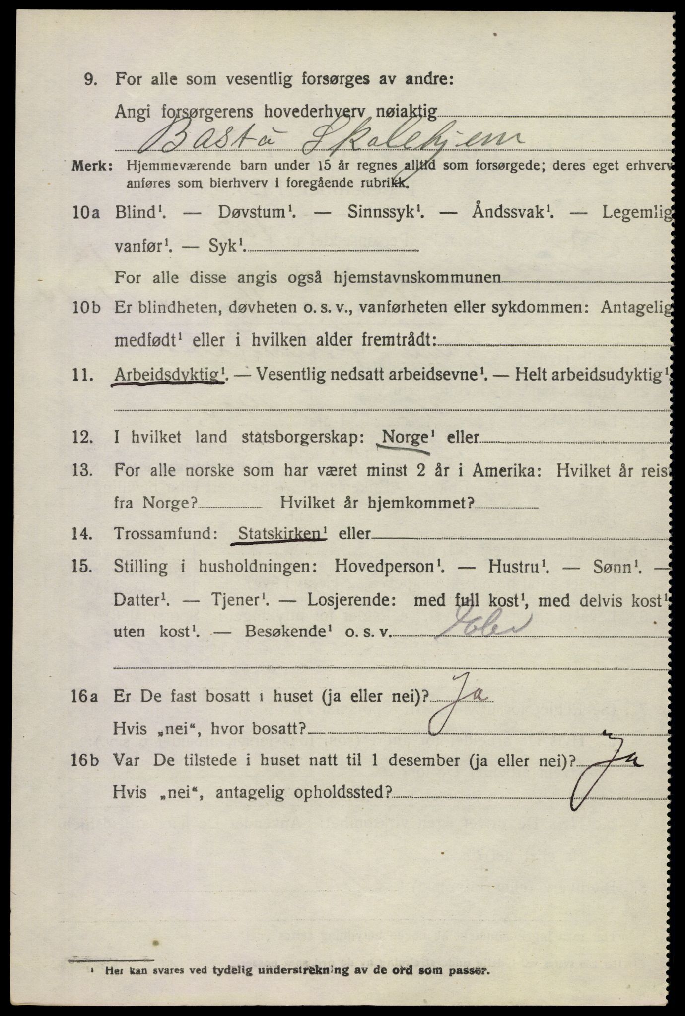 SAKO, 1920 census for Borre, 1920, p. 2545