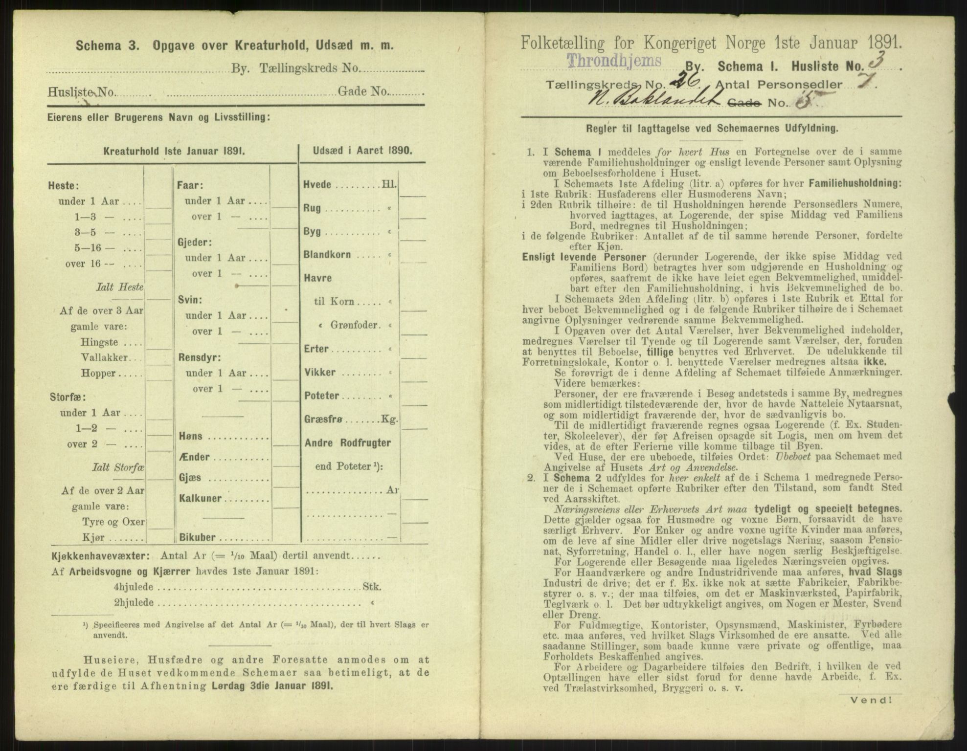 RA, 1891 census for 1601 Trondheim, 1891, p. 1768