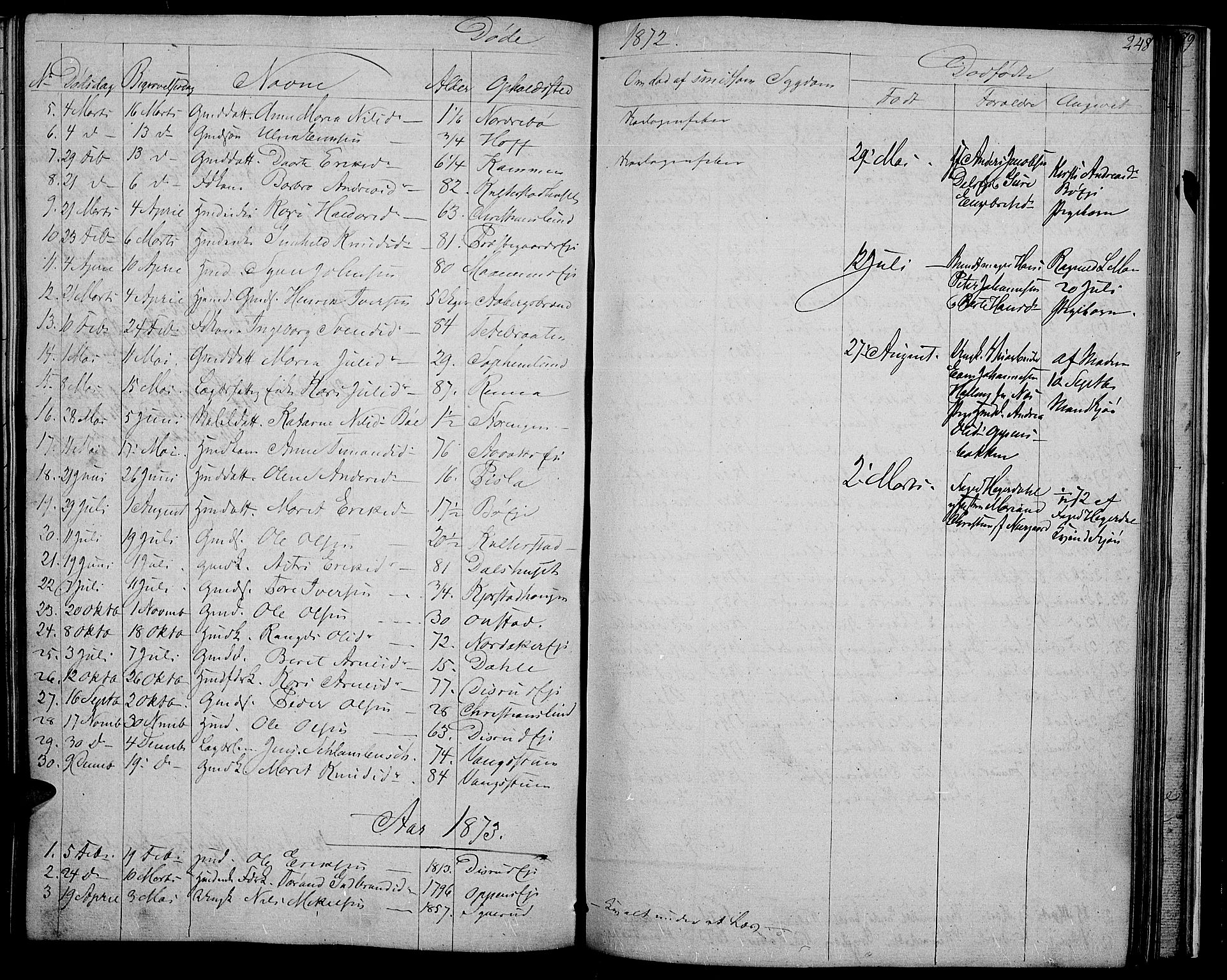 Nord-Aurdal prestekontor, SAH/PREST-132/H/Ha/Hab/L0002: Parish register (copy) no. 2, 1842-1877, p. 248